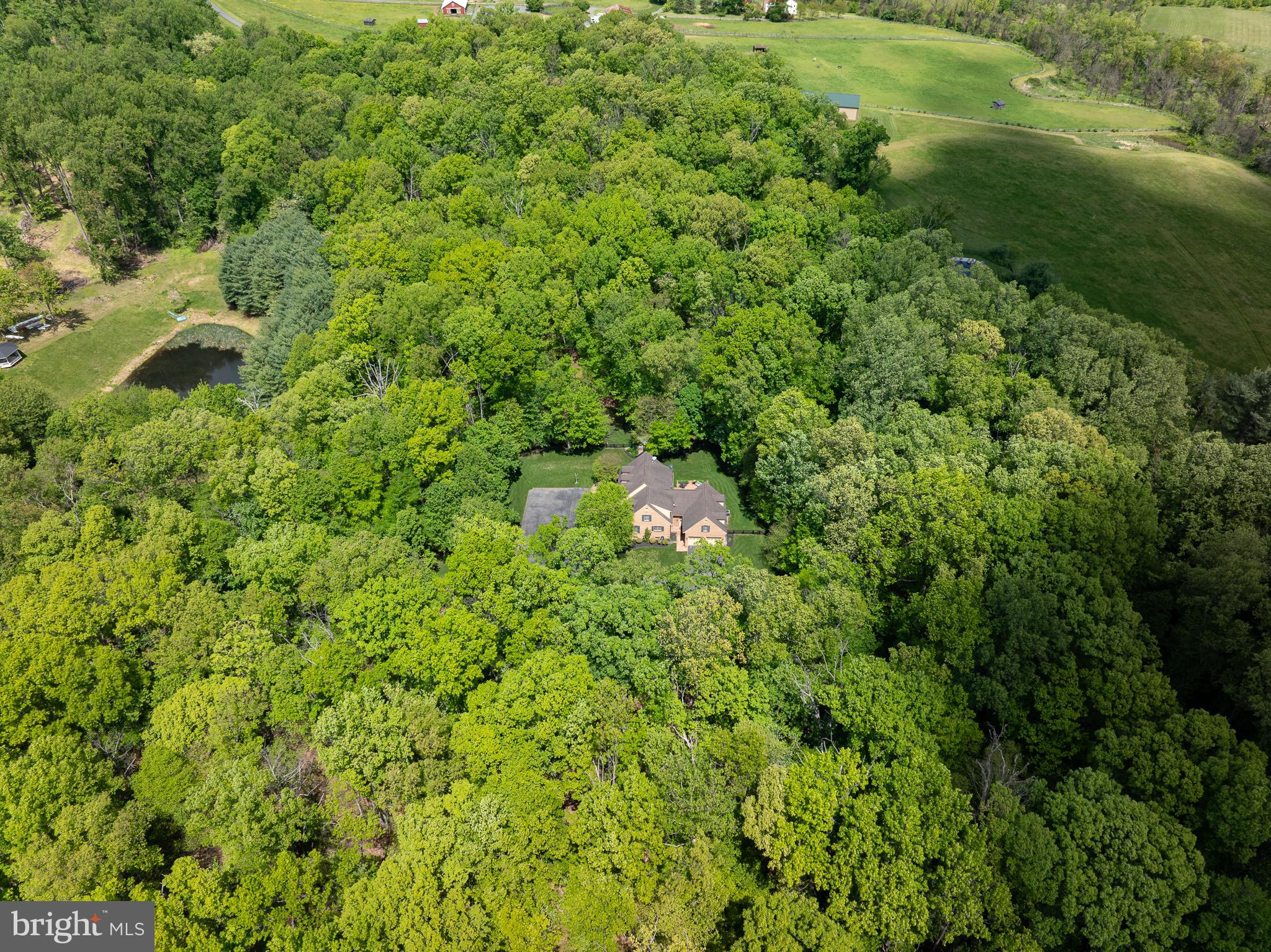 9350 REICHS FORD ROAD