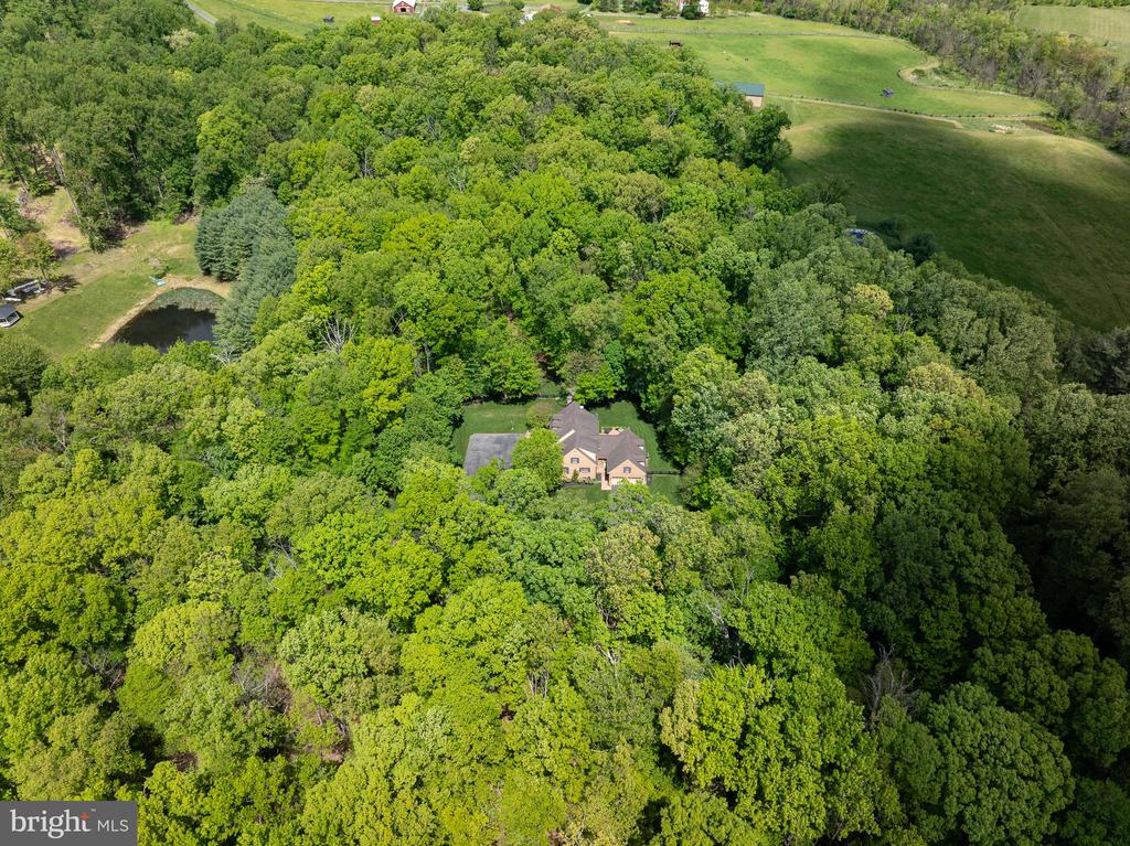 9350 REICHS FORD ROAD