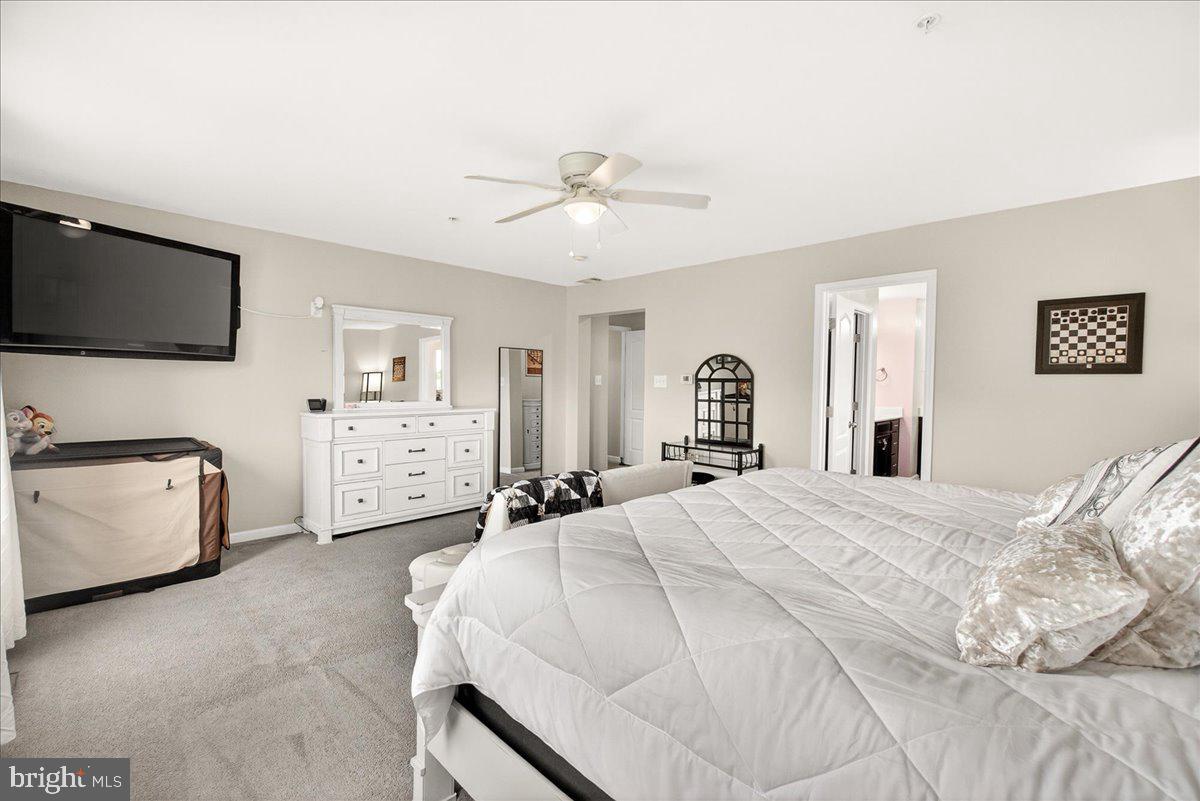 3614 MOLINE COURT