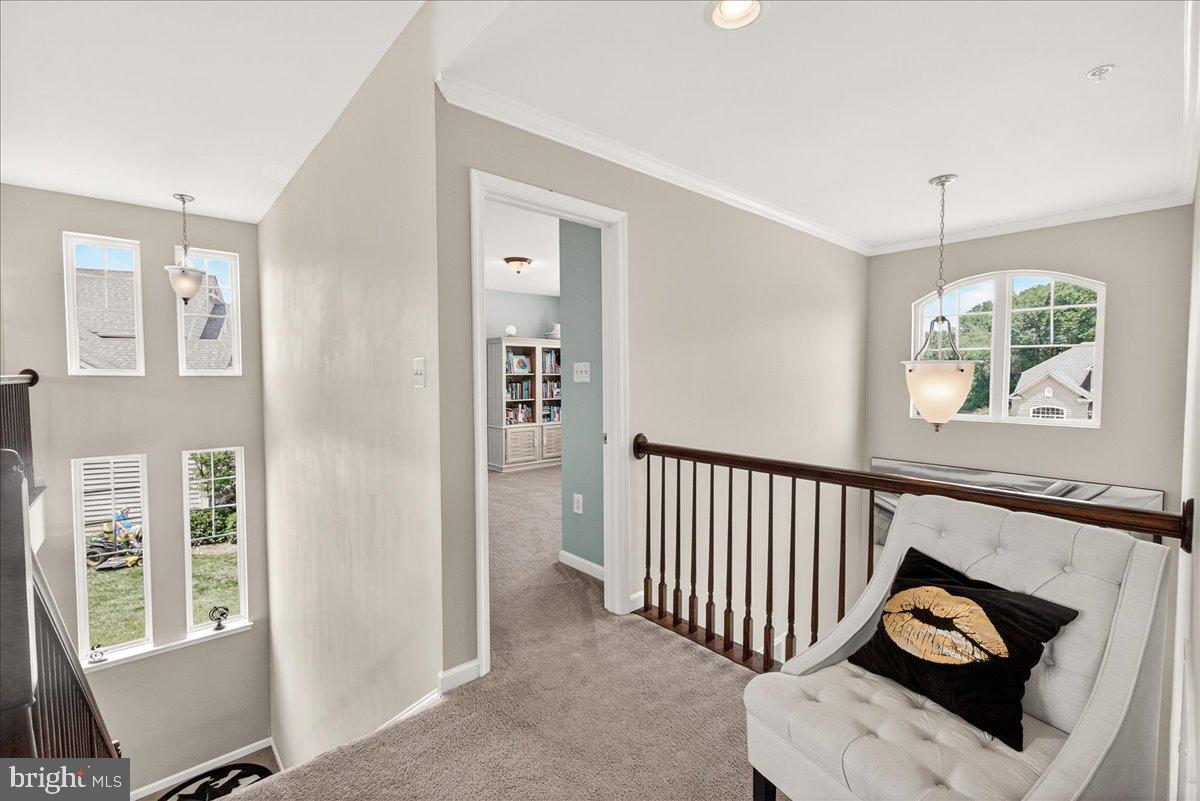 3614 MOLINE COURT