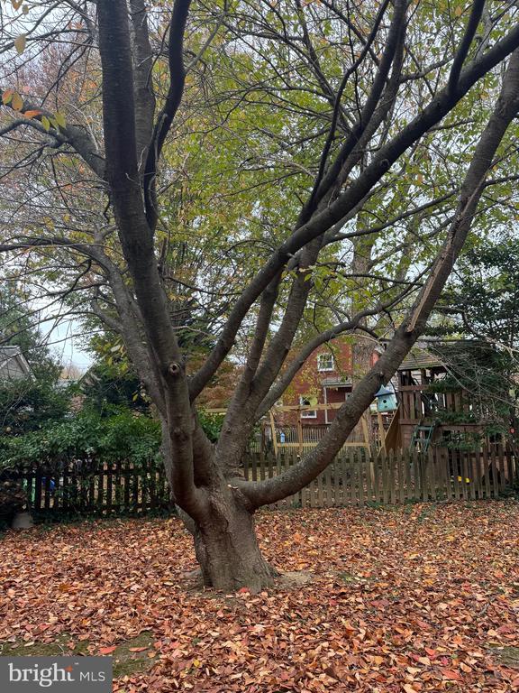 617 GREENBRIER DRIVE