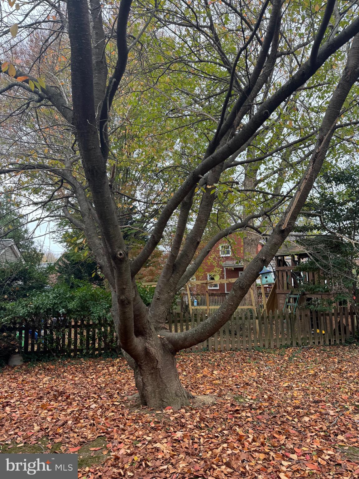 617 GREENBRIER DRIVE