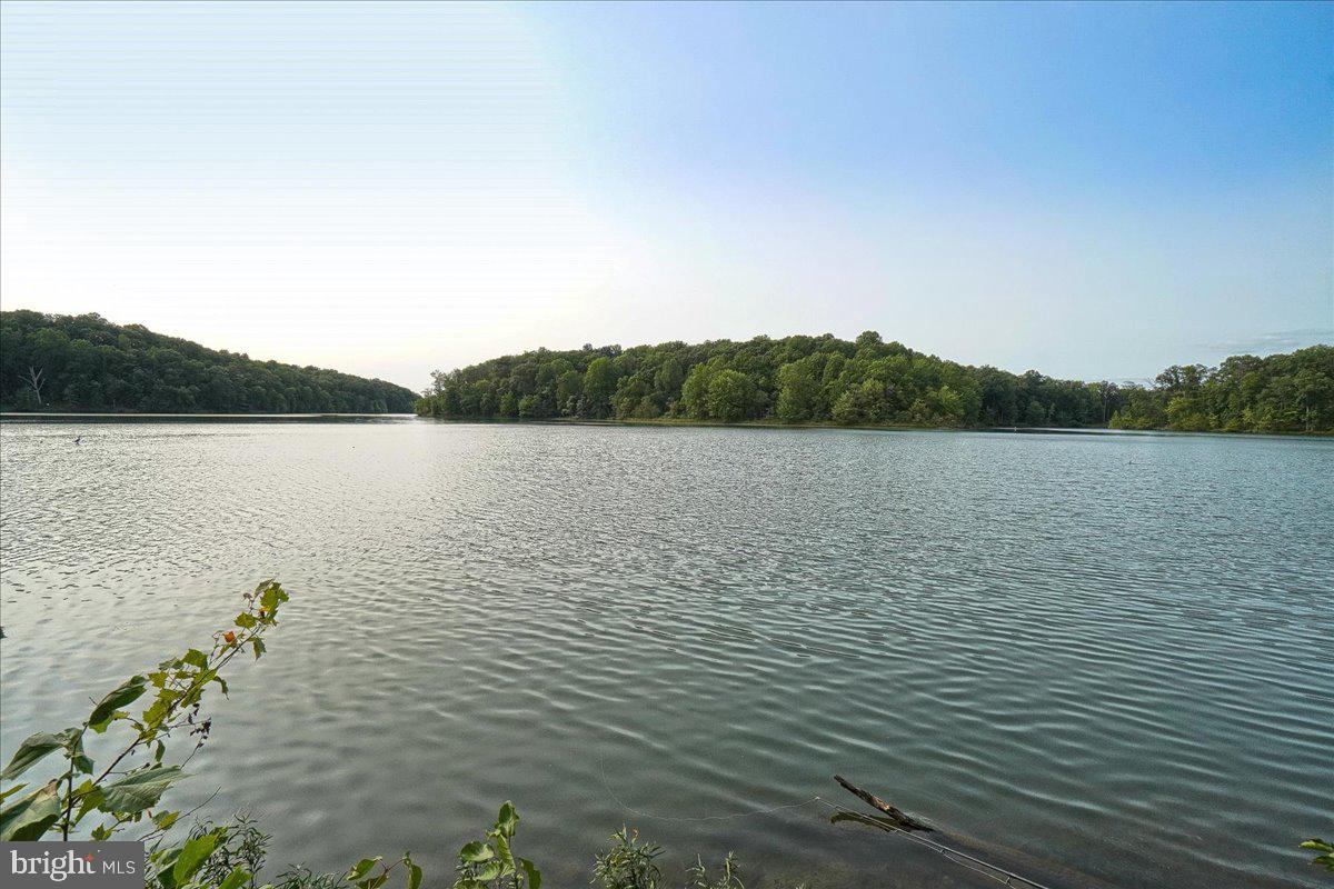 19617 GALWAY BAY CIRCLE 402