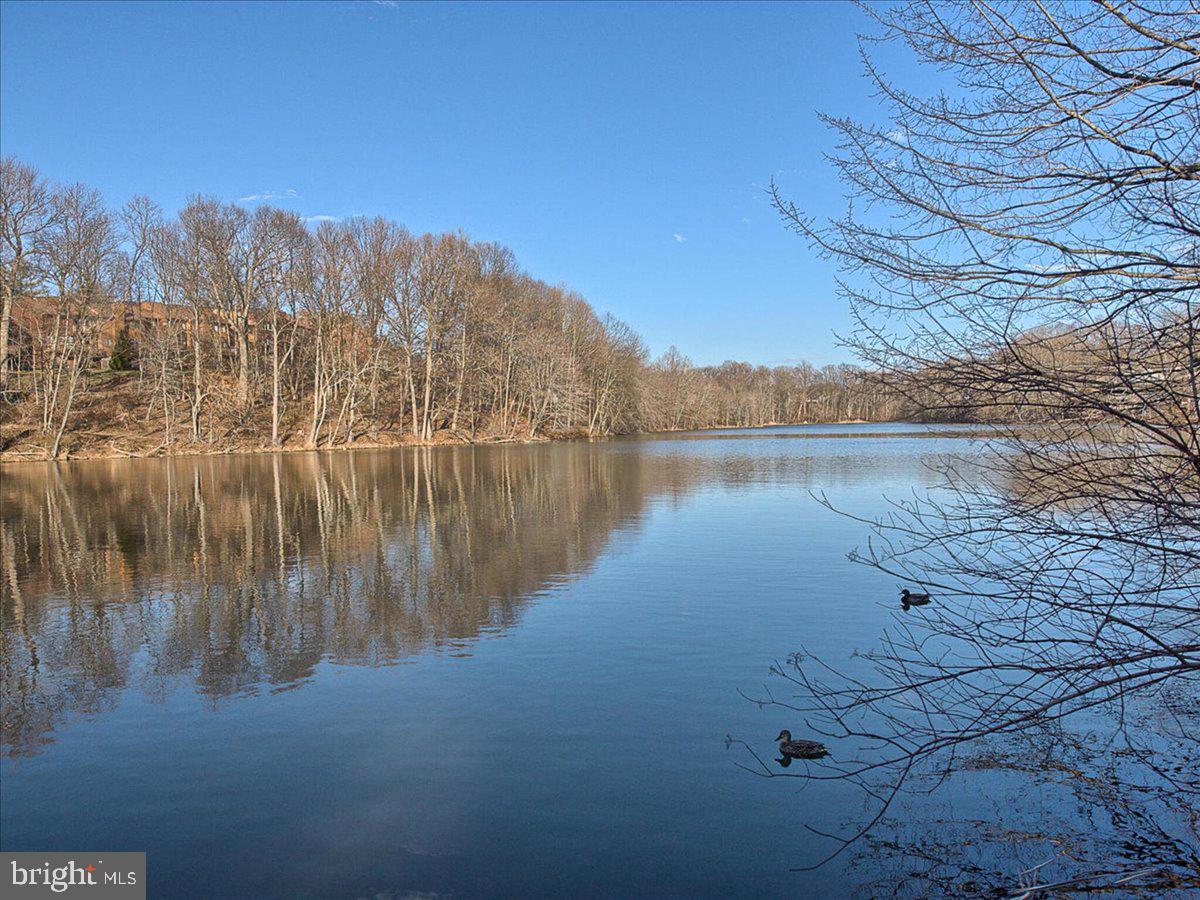 19617 GALWAY BAY CIRCLE 402