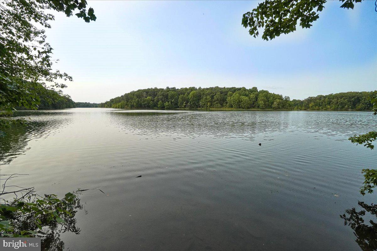 13102 ALPINE DRIVE 2502