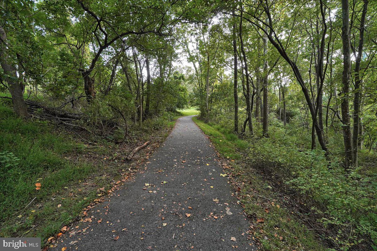 13102 ALPINE DRIVE 2502