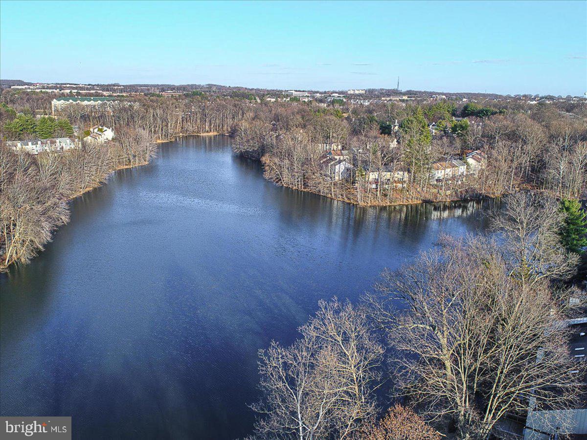 13102 ALPINE DRIVE 2502