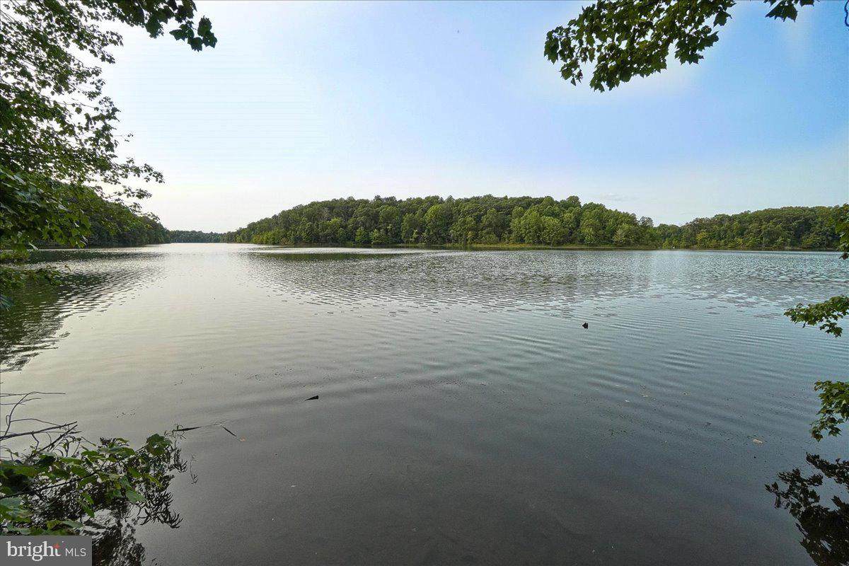 20073 PLACID LAKE TERRACE