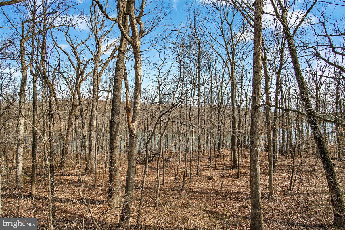 20073 PLACID LAKE TERRACE