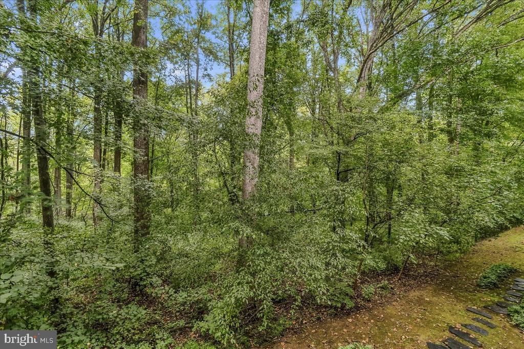 111 TIMBERBROOK LANE Unit: 102