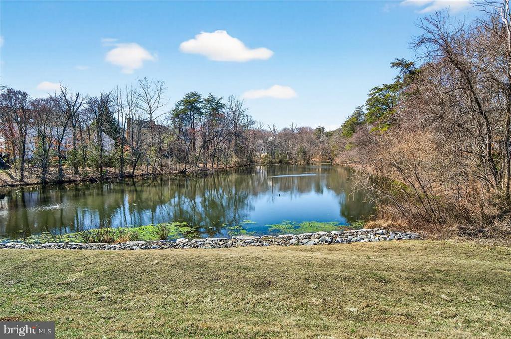 111 TIMBERBROOK LANE Unit: 102