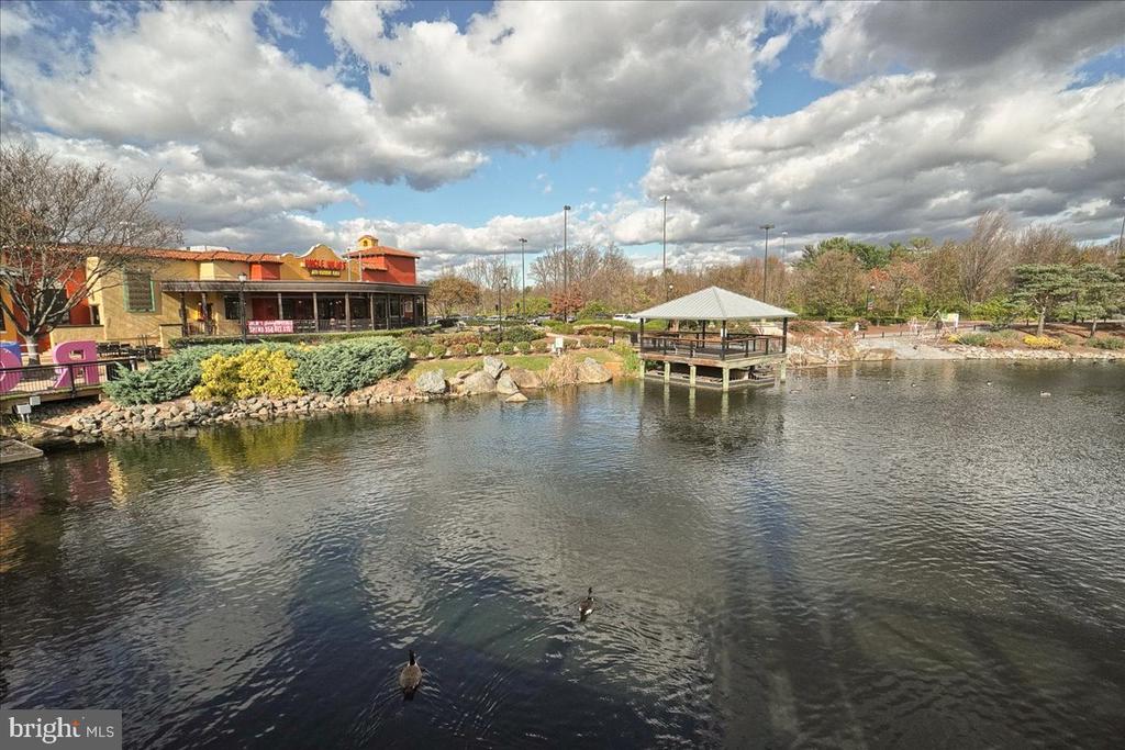 111 TIMBERBROOK LANE Unit: 102