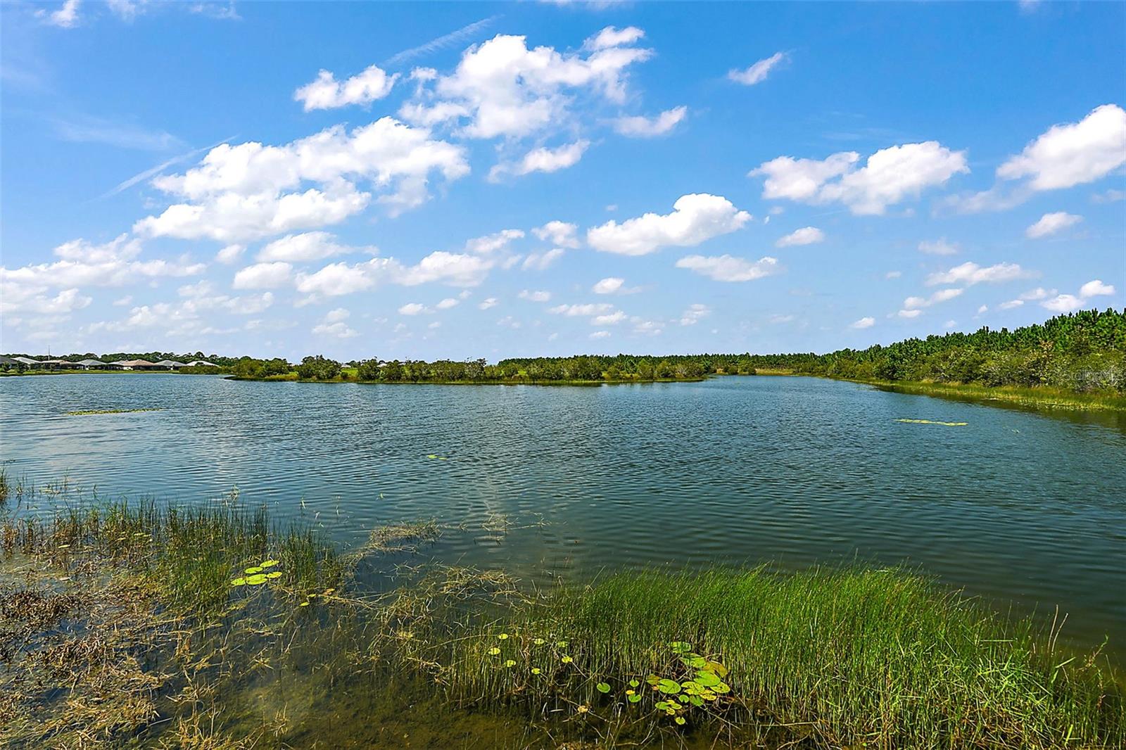 8449 BRIDGEPORT BAY CIRCLE