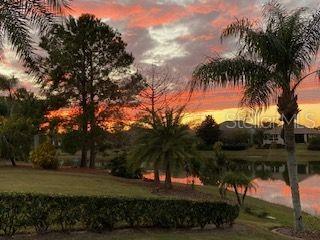 8809 BEACON HILL AVENUE