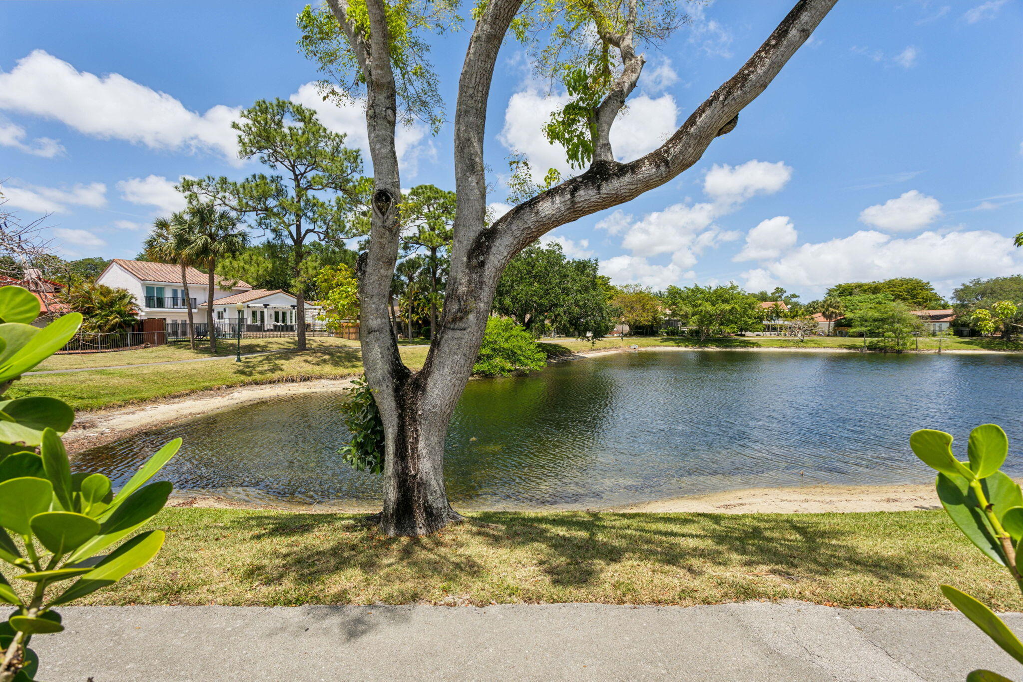 6601 Sweet Maple Lane