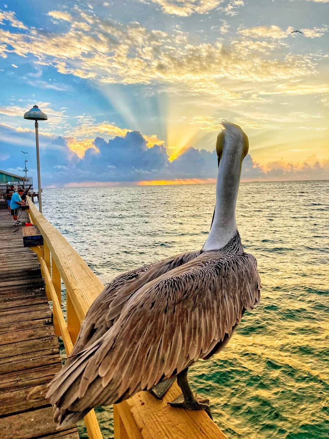 328 N Ocean Blvd 1204