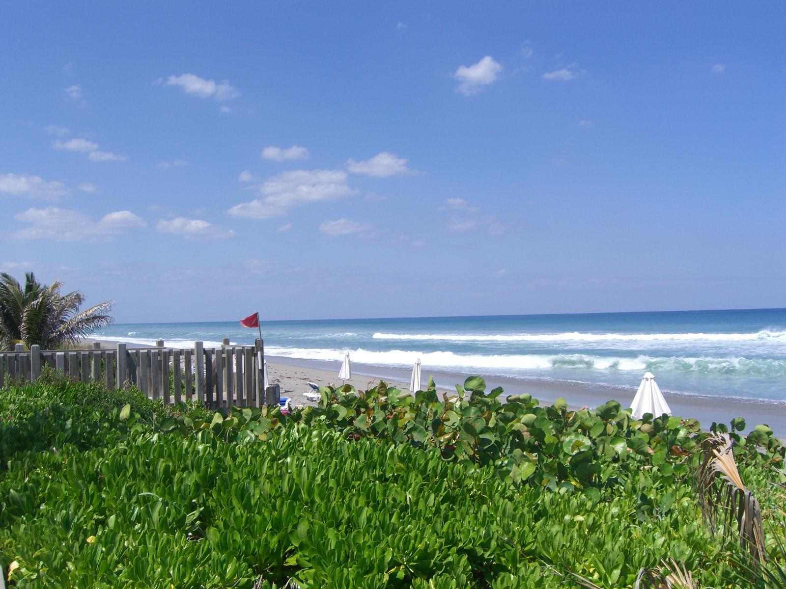 21558 Saint Andrews Grand Circle 34