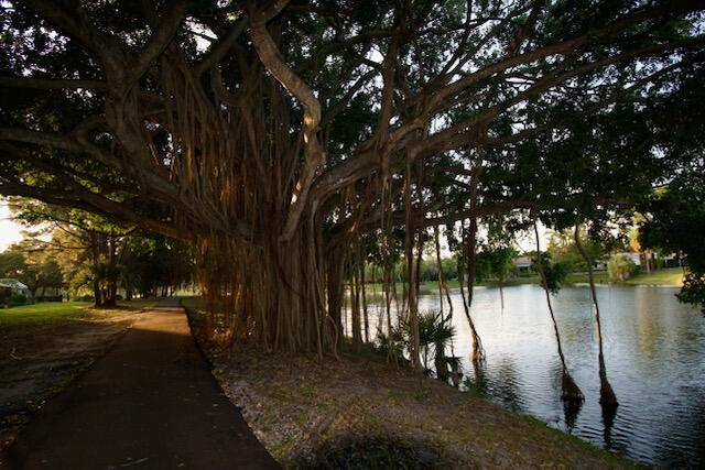 21808 Mountain Sugar Lane