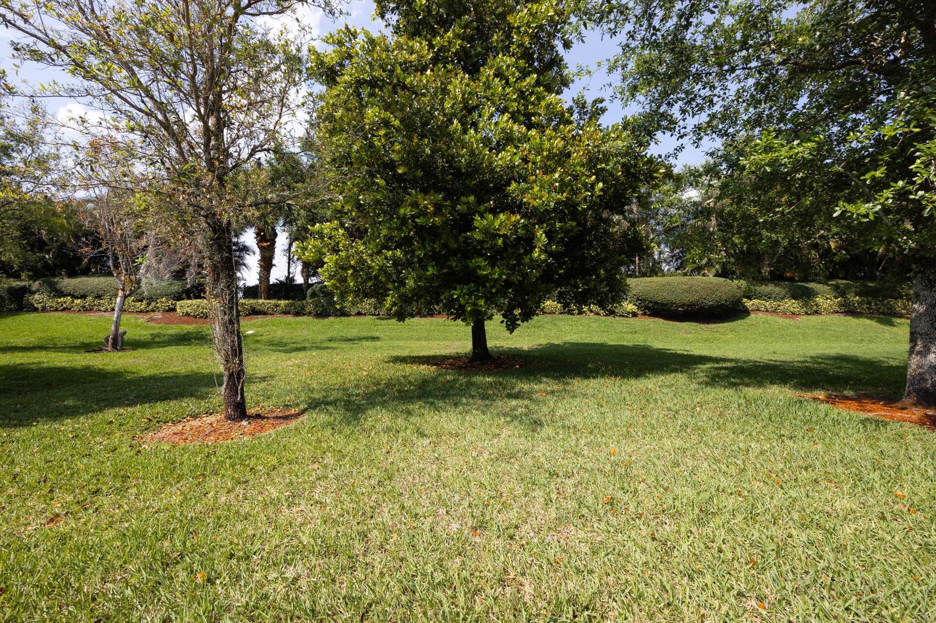 9897 Yellowfield Drive