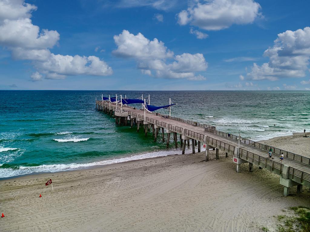 305 N Boulevard 1204