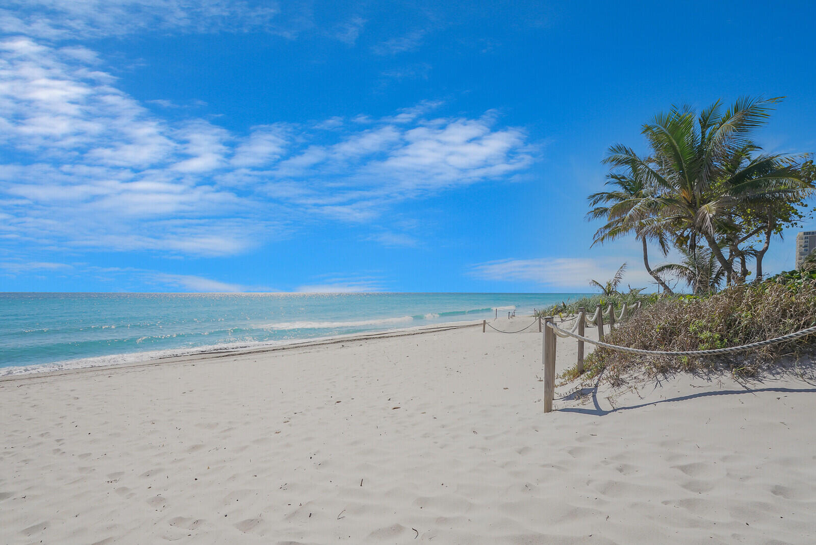 1051 Hillsboro Mile 902 E