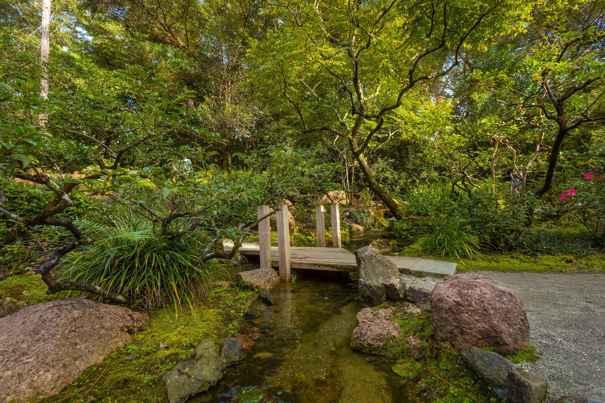 299 SW 7th Street 1040