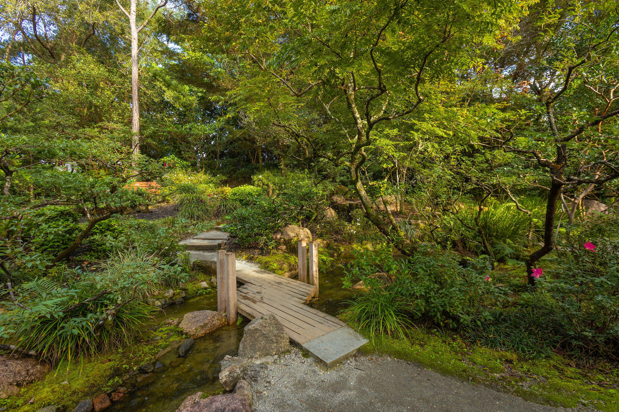 299 SW 7th Street 1040