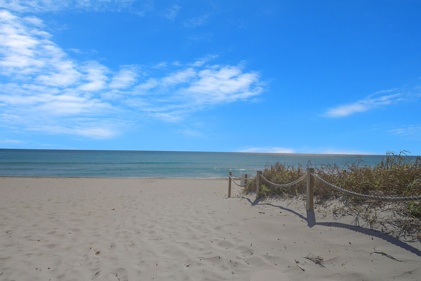 1051 Hillsboro Mile 902e