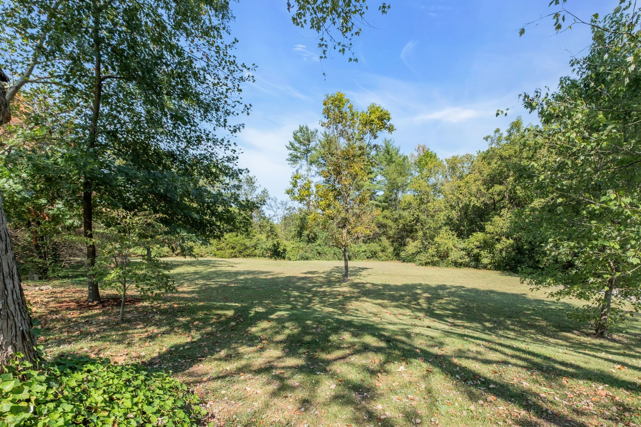 168 Cottonwood Dr