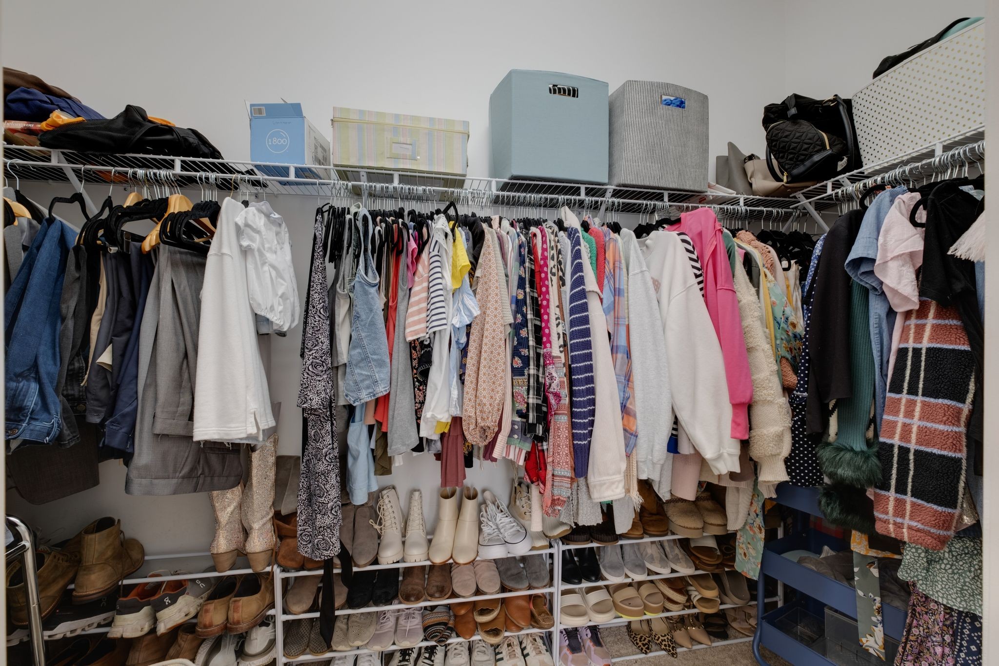 2217 Arbor Pointe Way