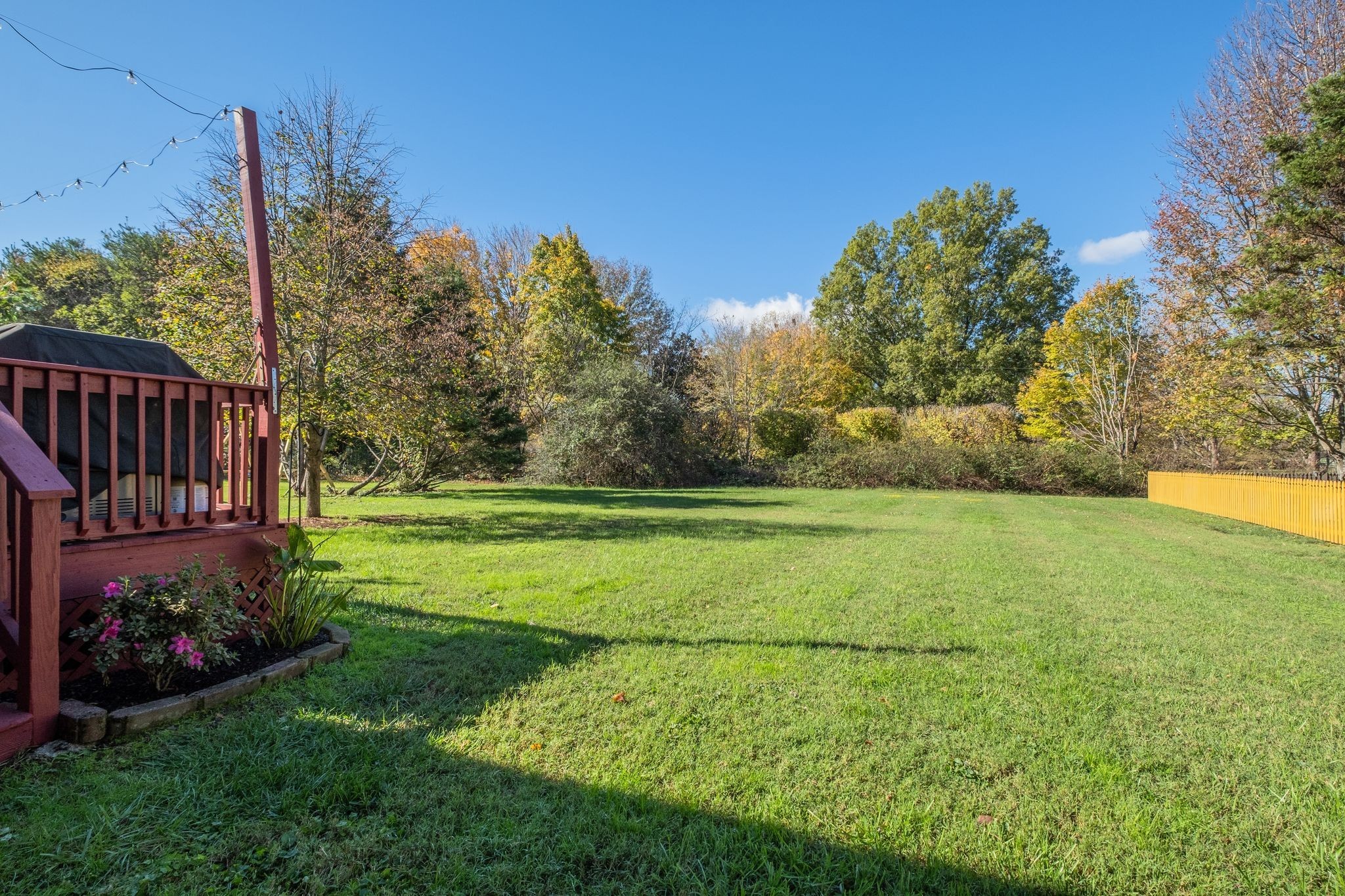524 Antebellum Ct