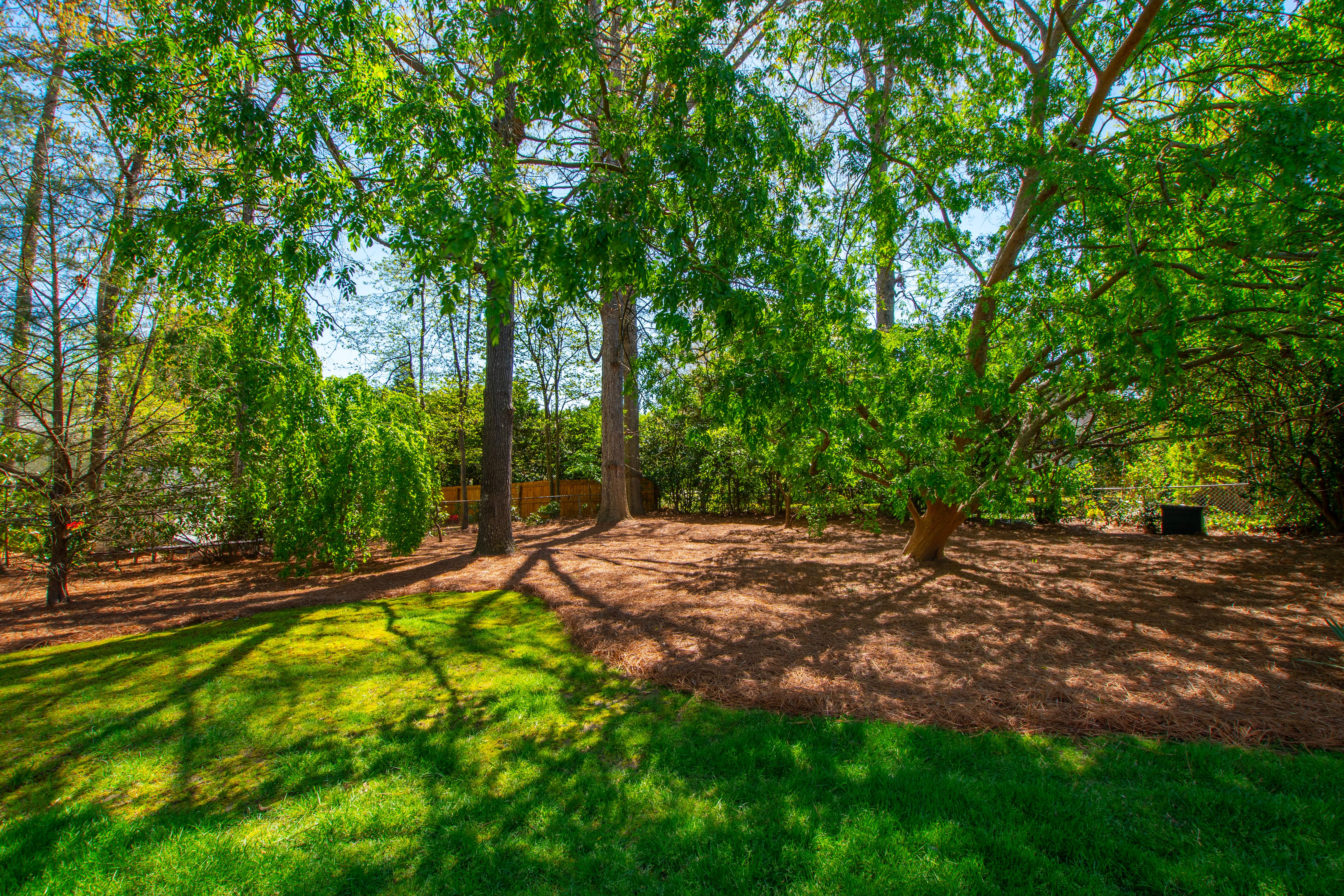 2210 Coley Forest Place 