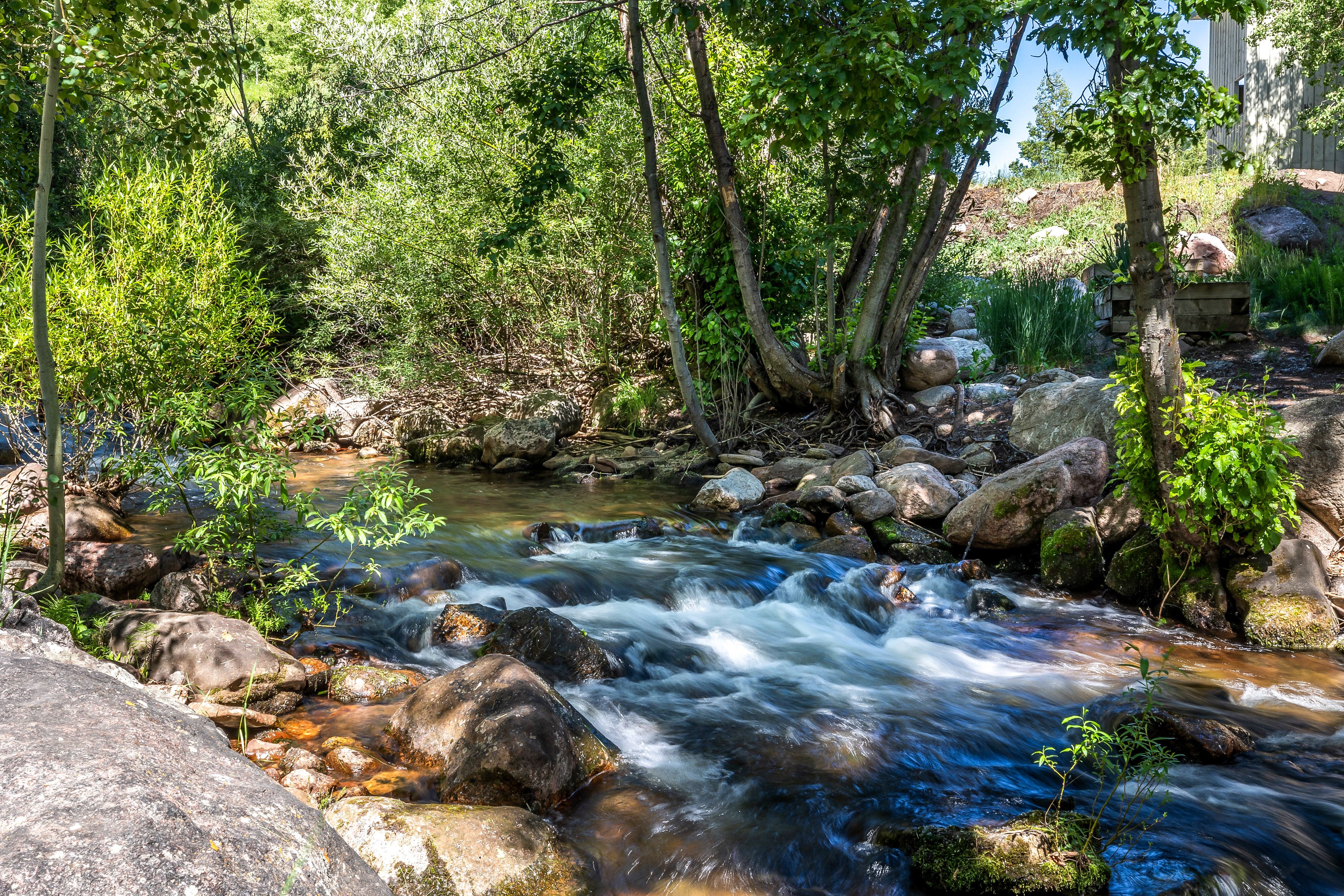 980 Vail View Drive #116D 