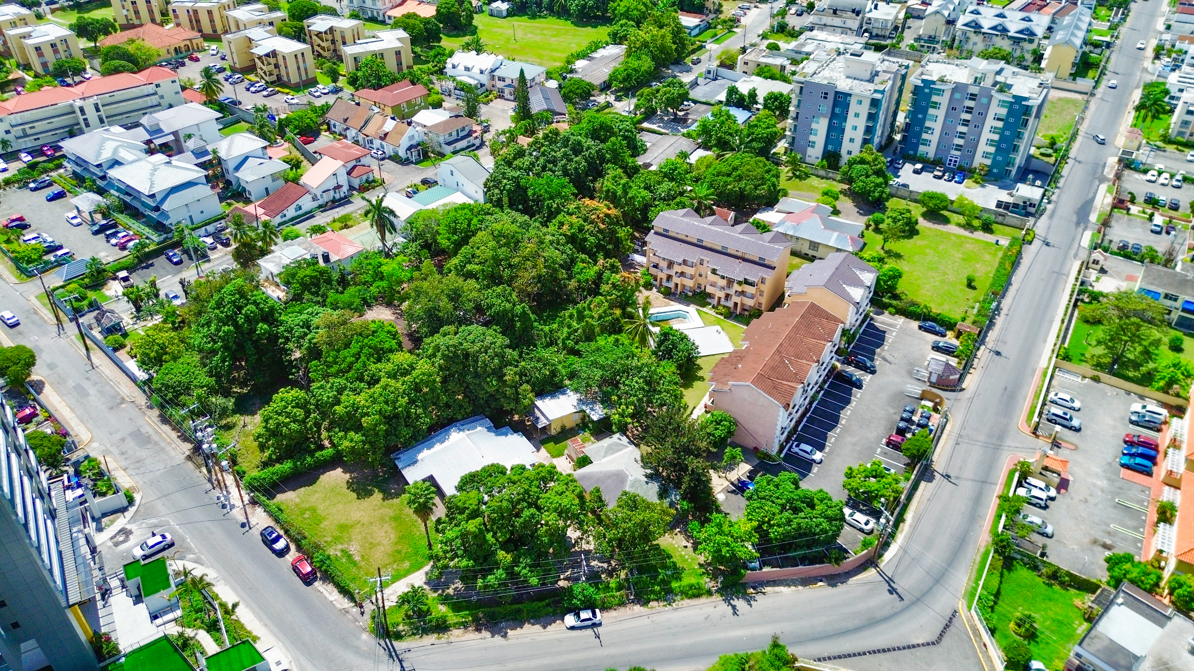7 Waterloo Avenue
