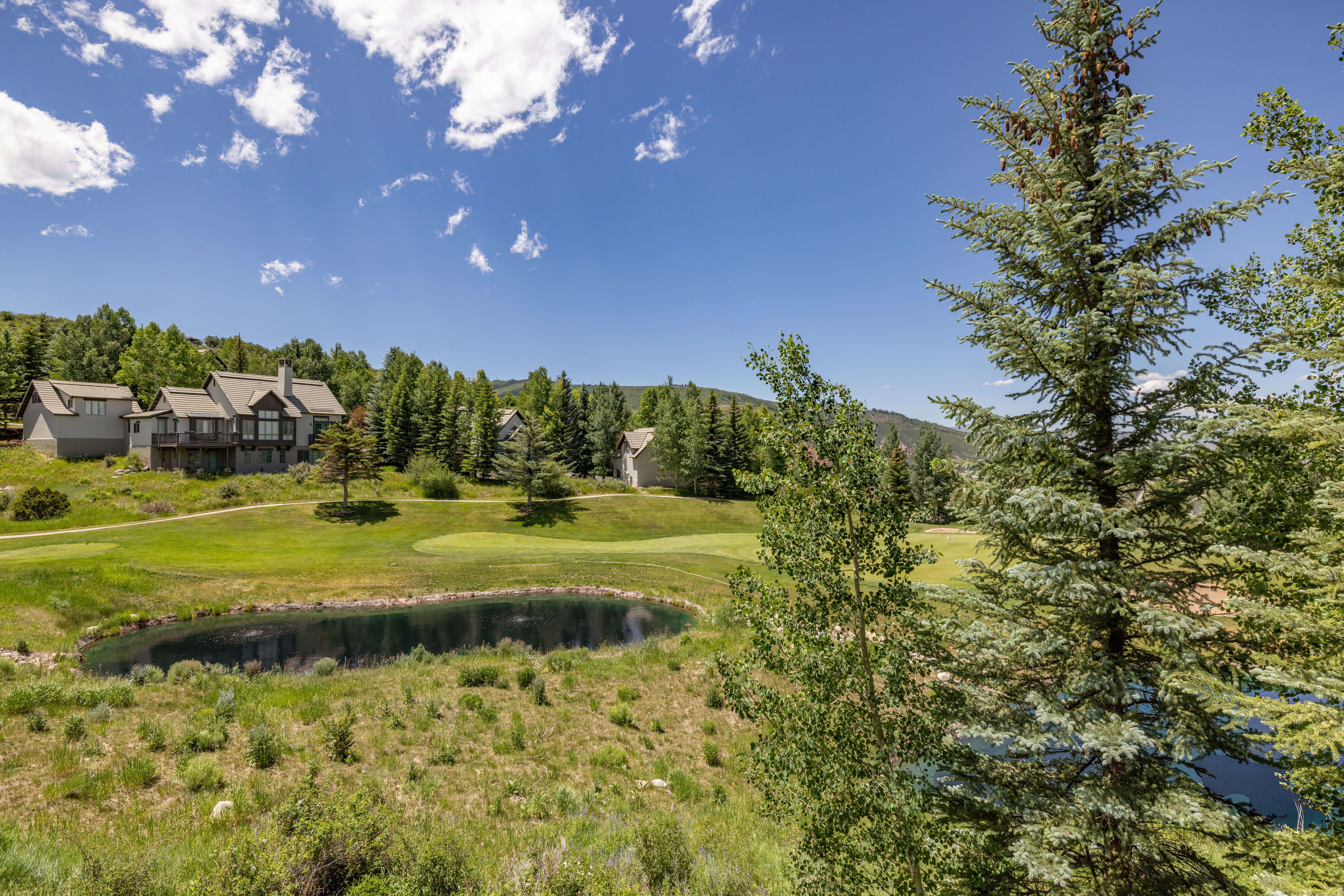 447 Kensington Dr 