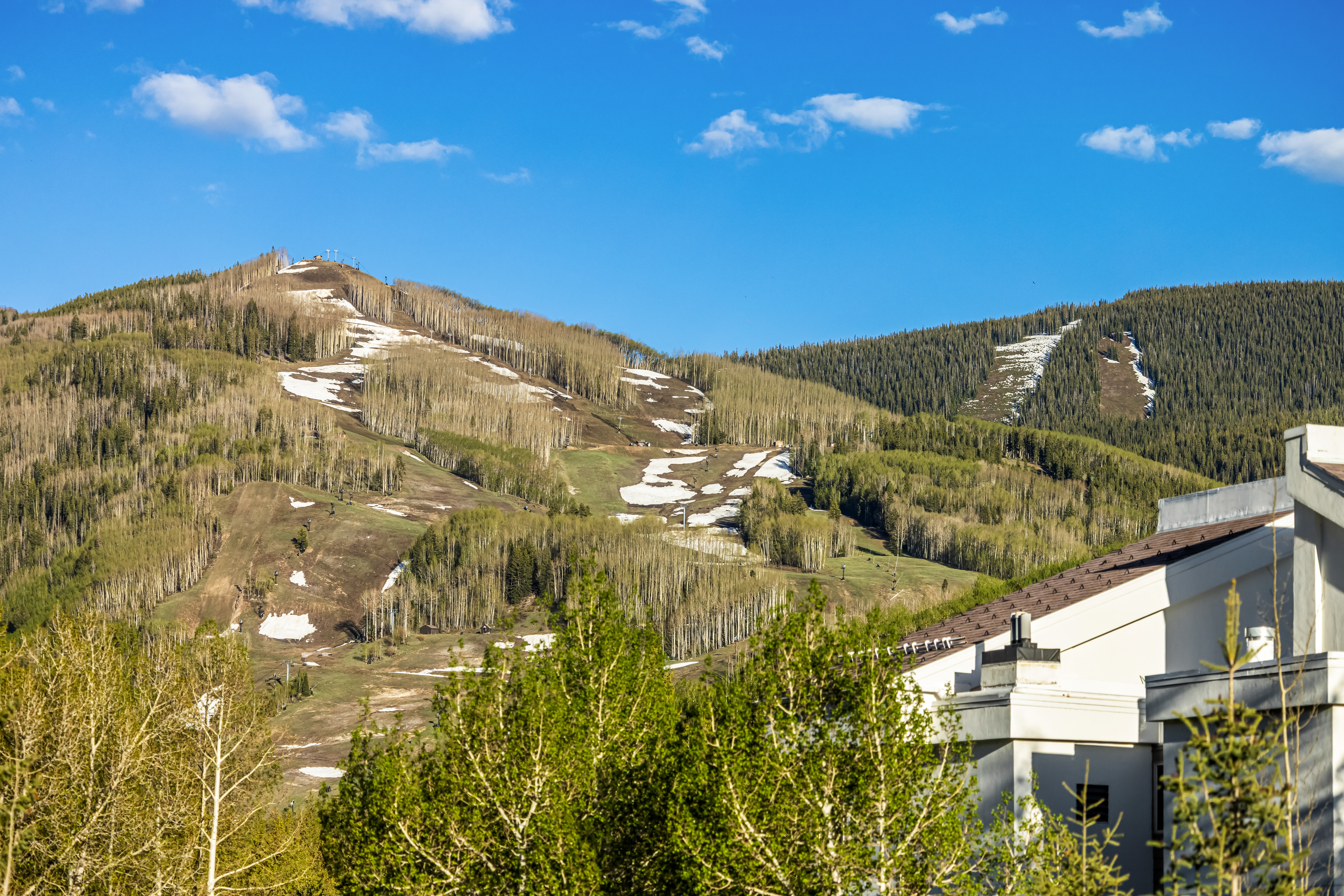 521 E Lionshead Circle Unit# # 405