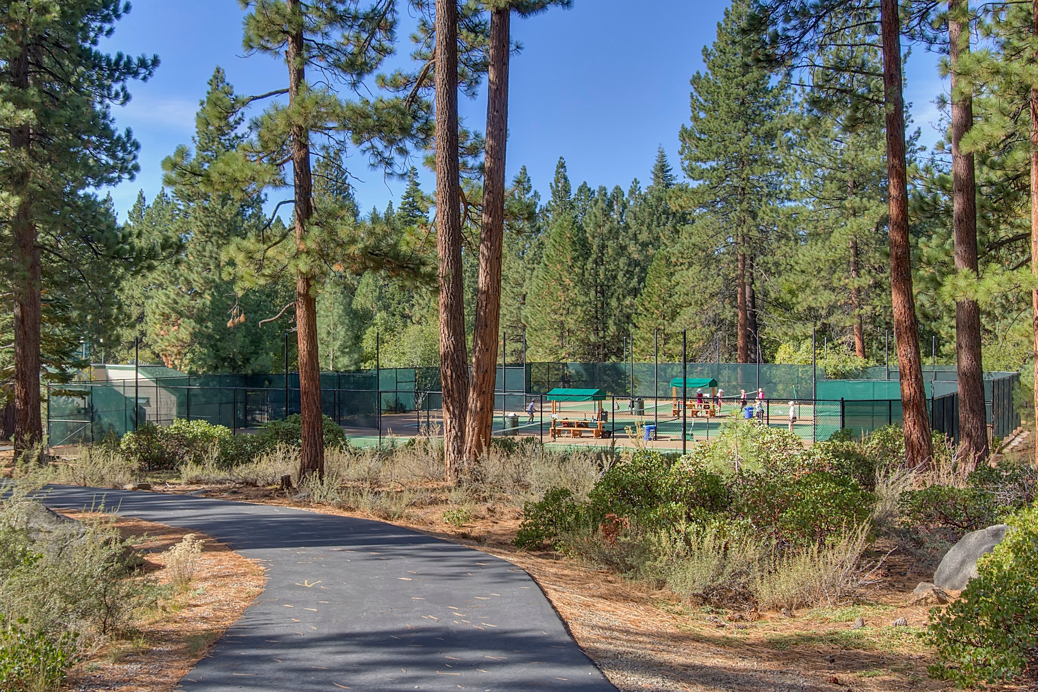 998 Third Green Court