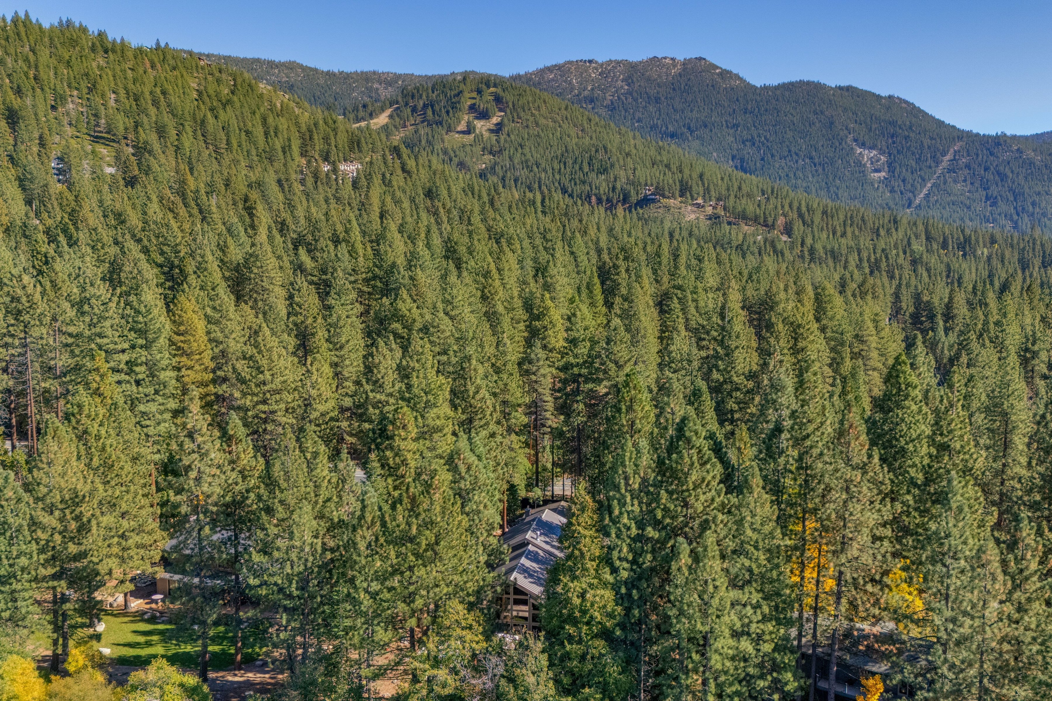 998 Third Green Court