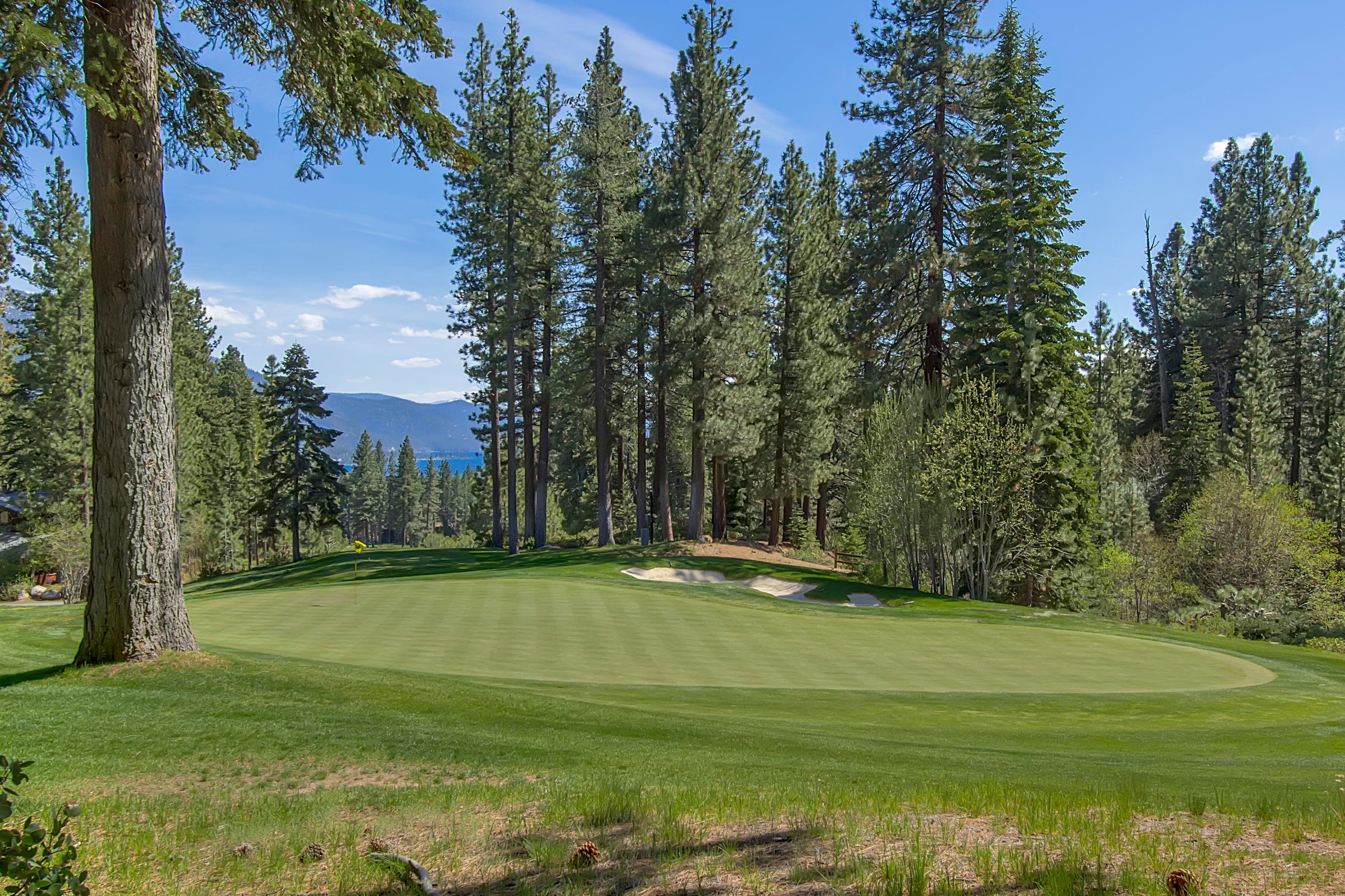 998 Third Green Court