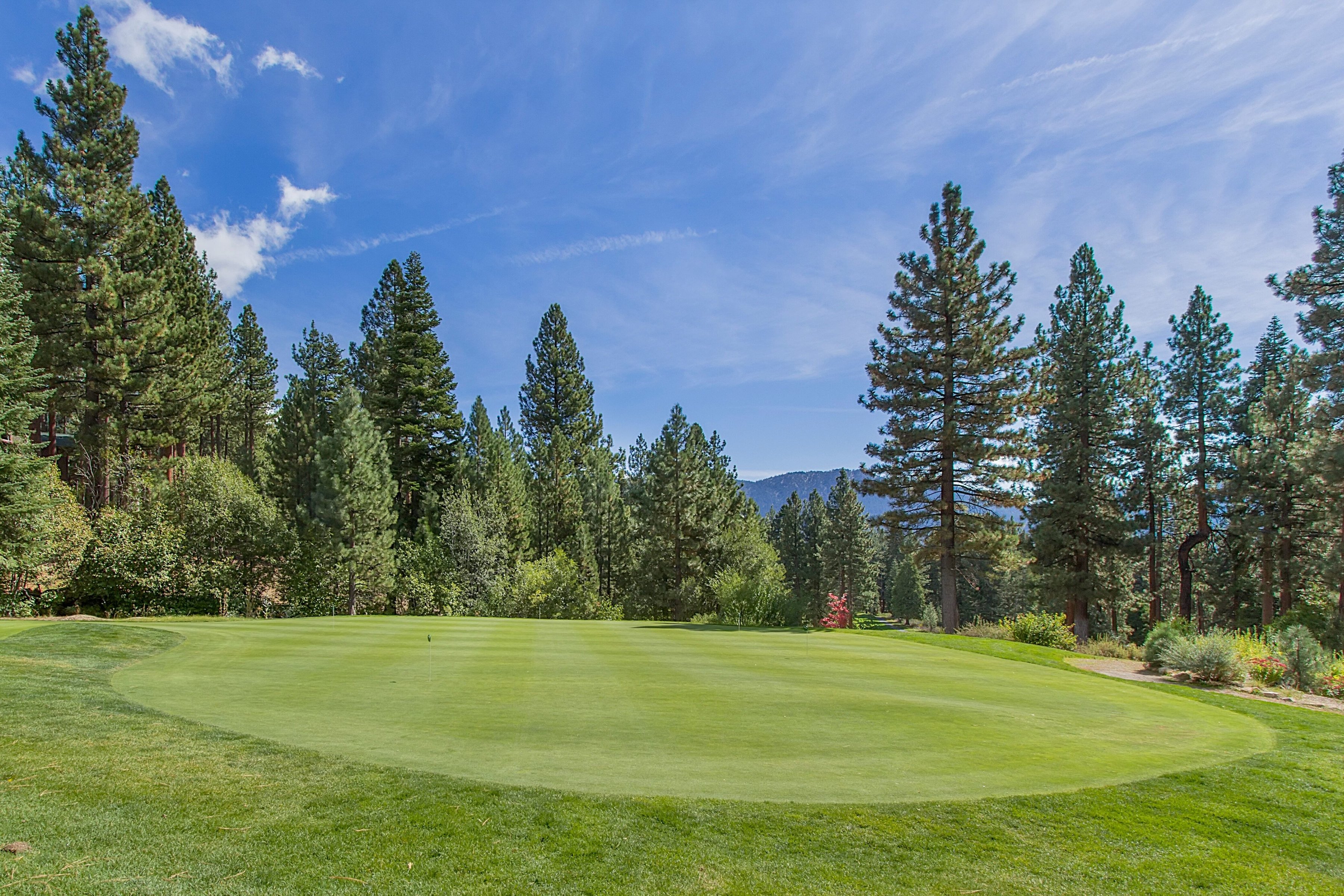 998 Third Green Court