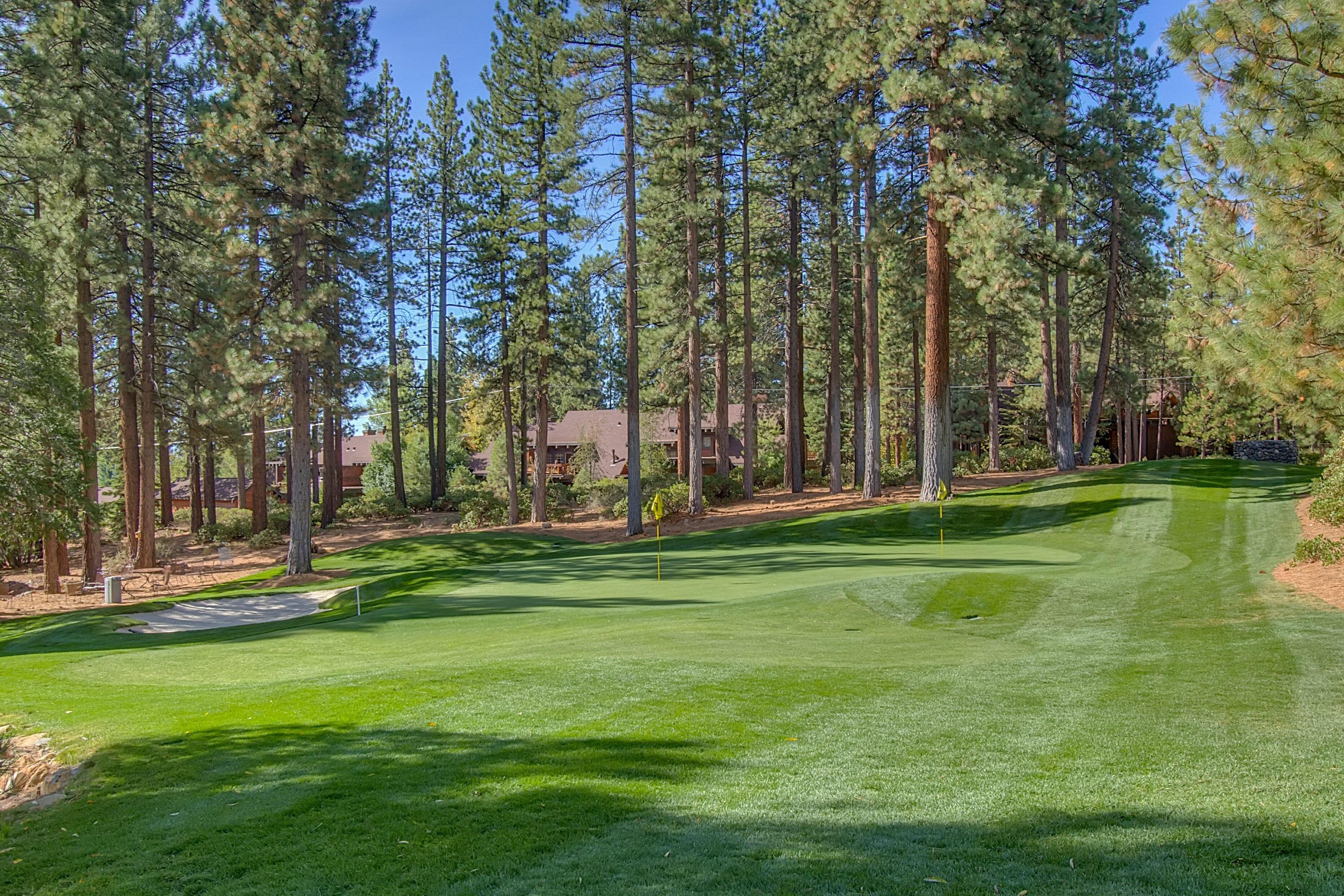 998 Third Green Court