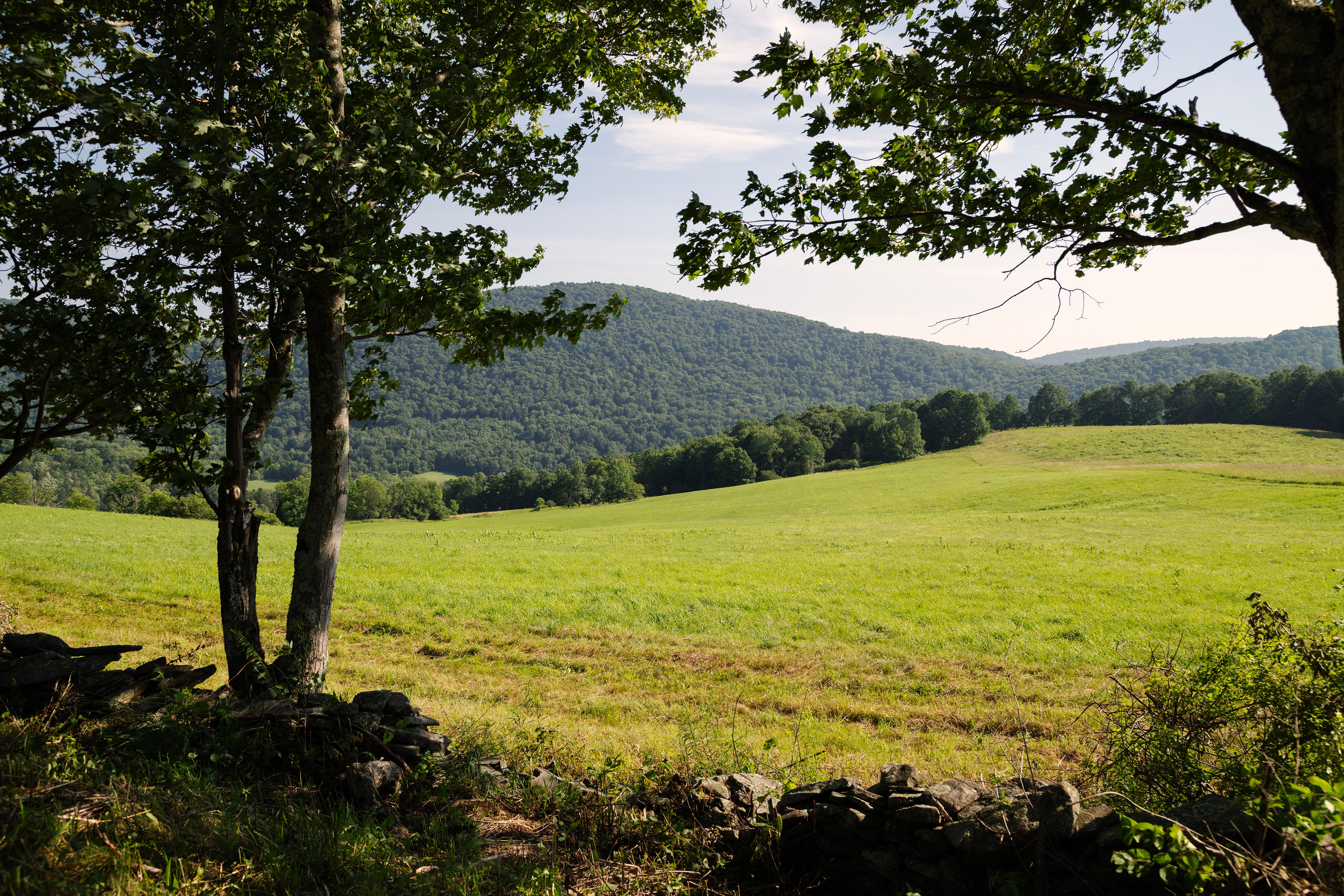 377 Reinertsen Hill Road