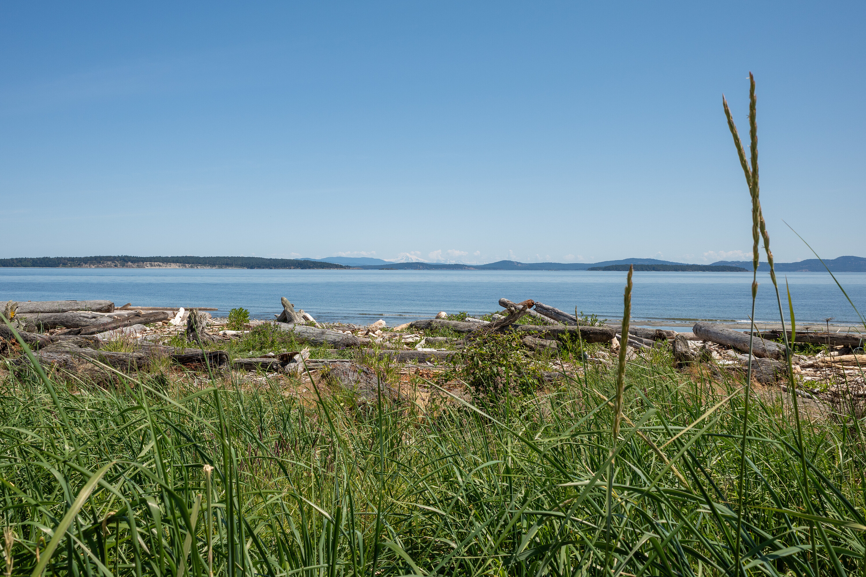 7003 Beach View Court