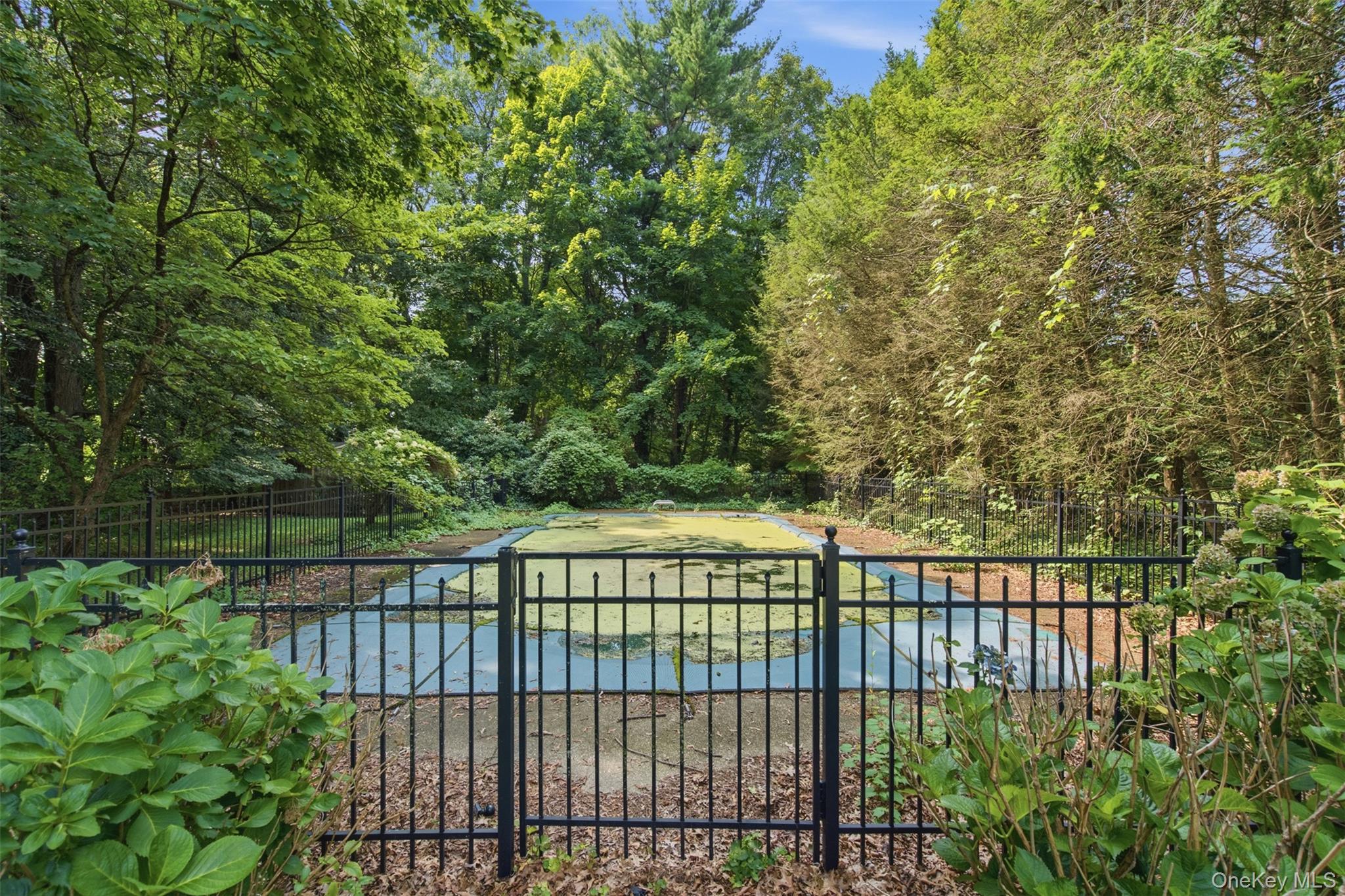 897 Ripley Lane