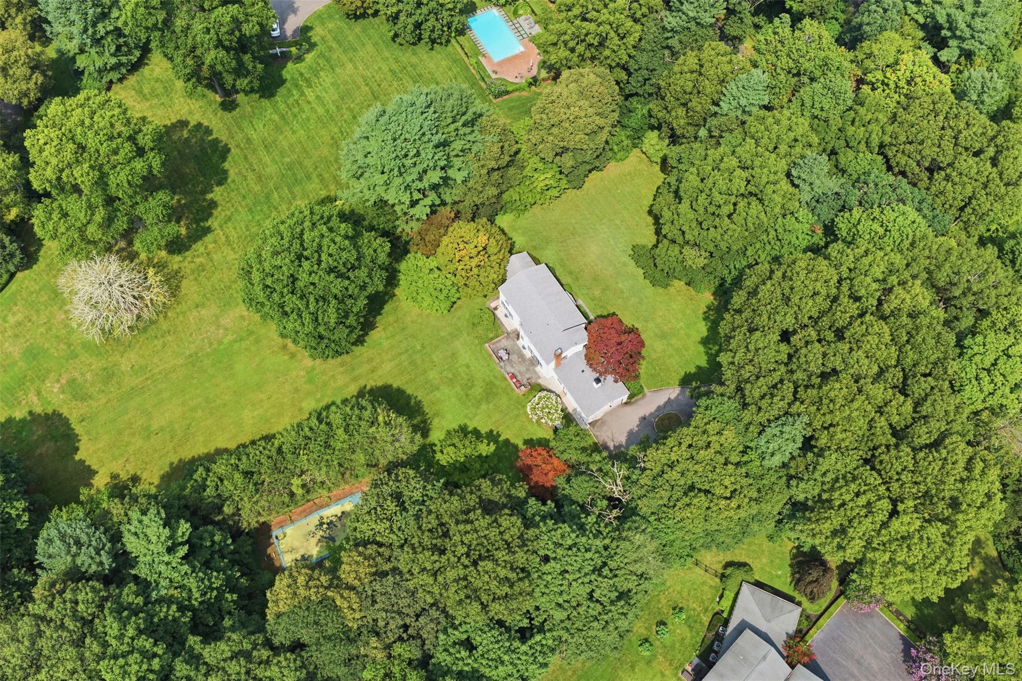 897 Ripley Lane