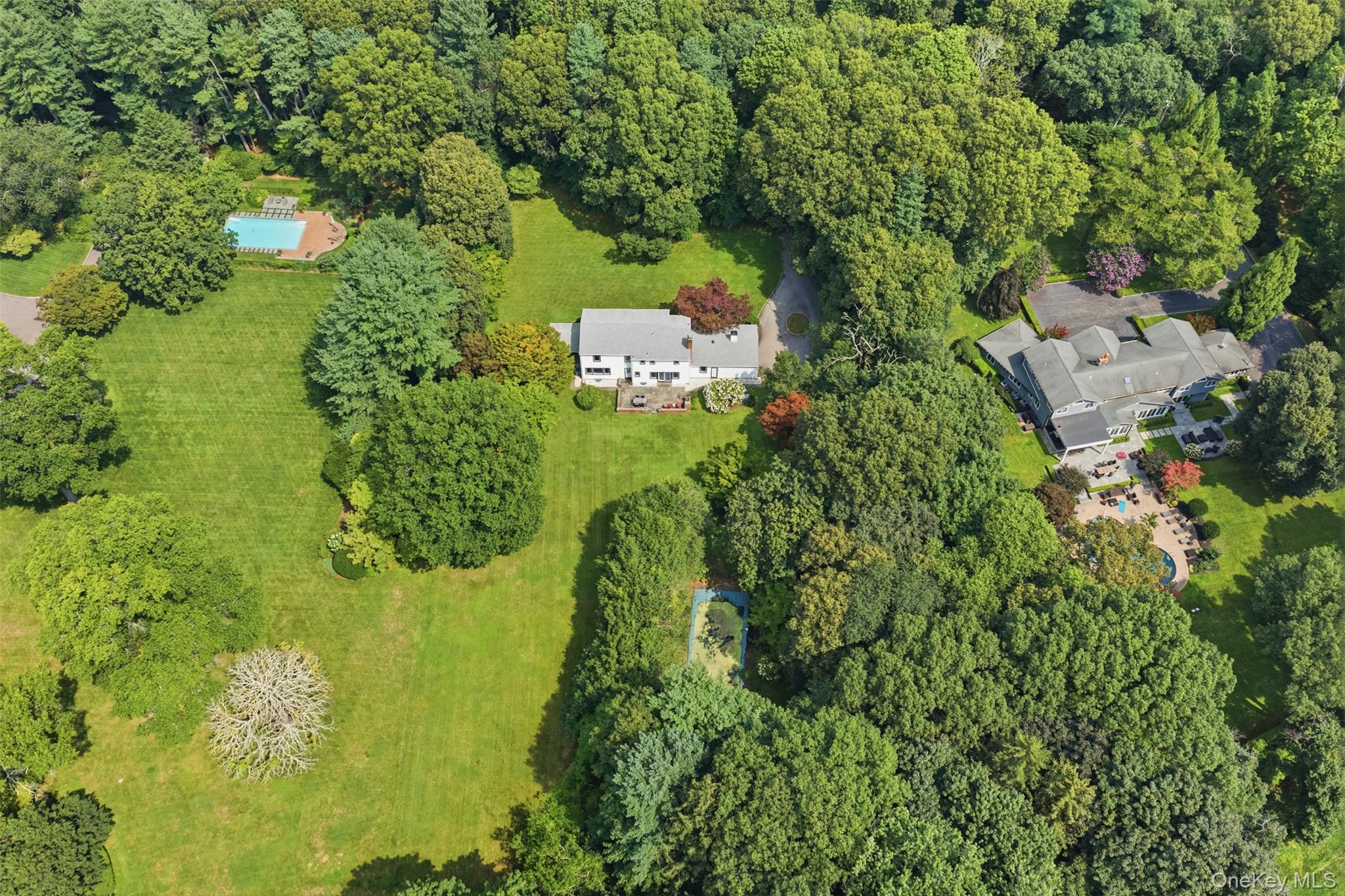 897 Ripley Lane