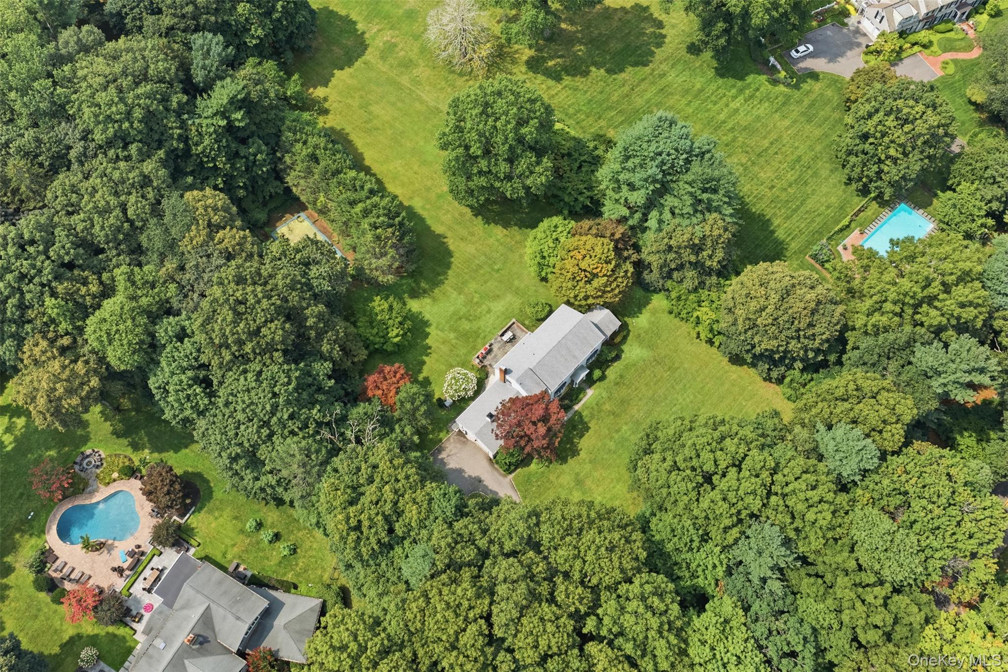 897 Ripley Lane