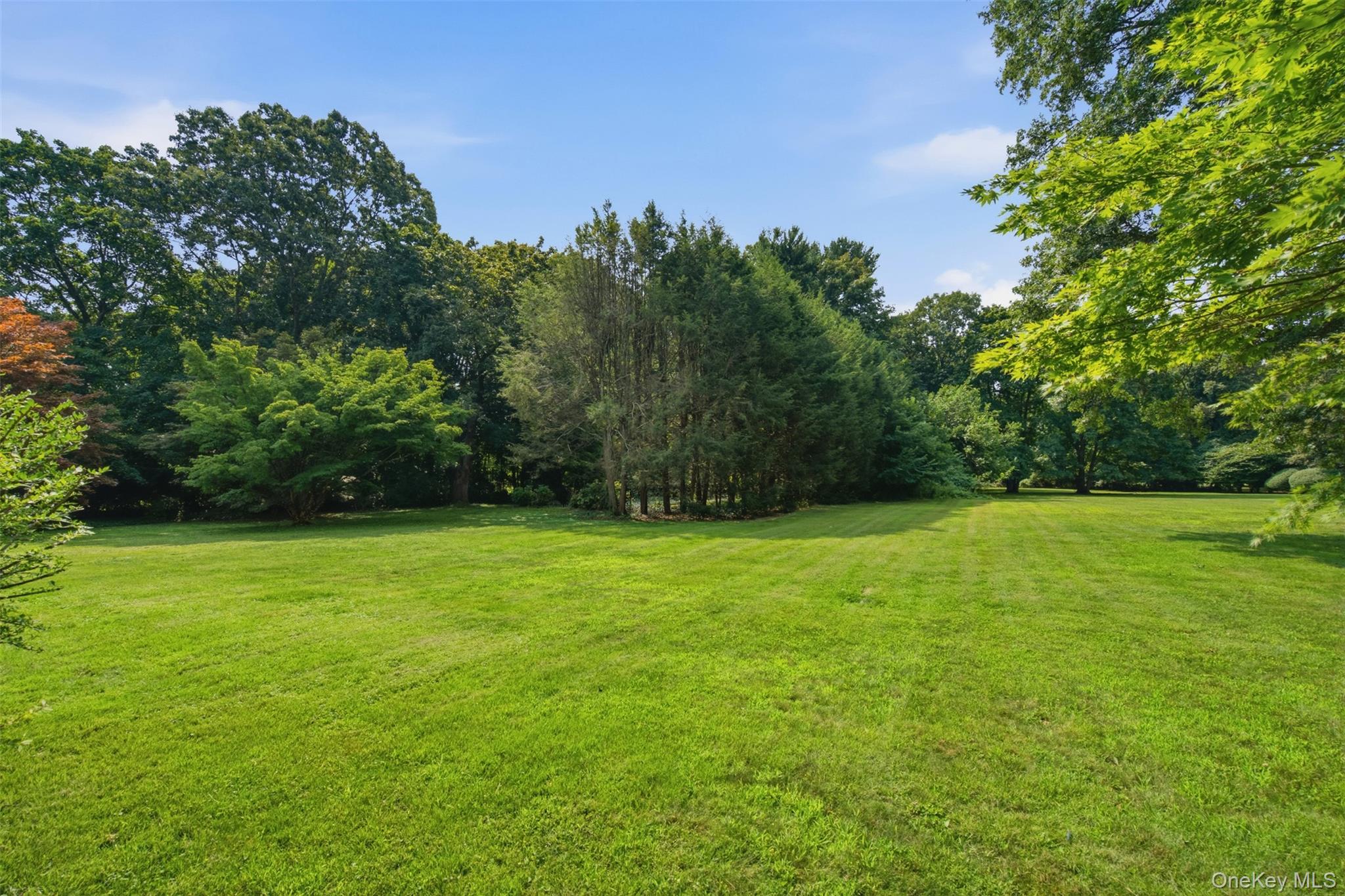 897 Ripley Lane
