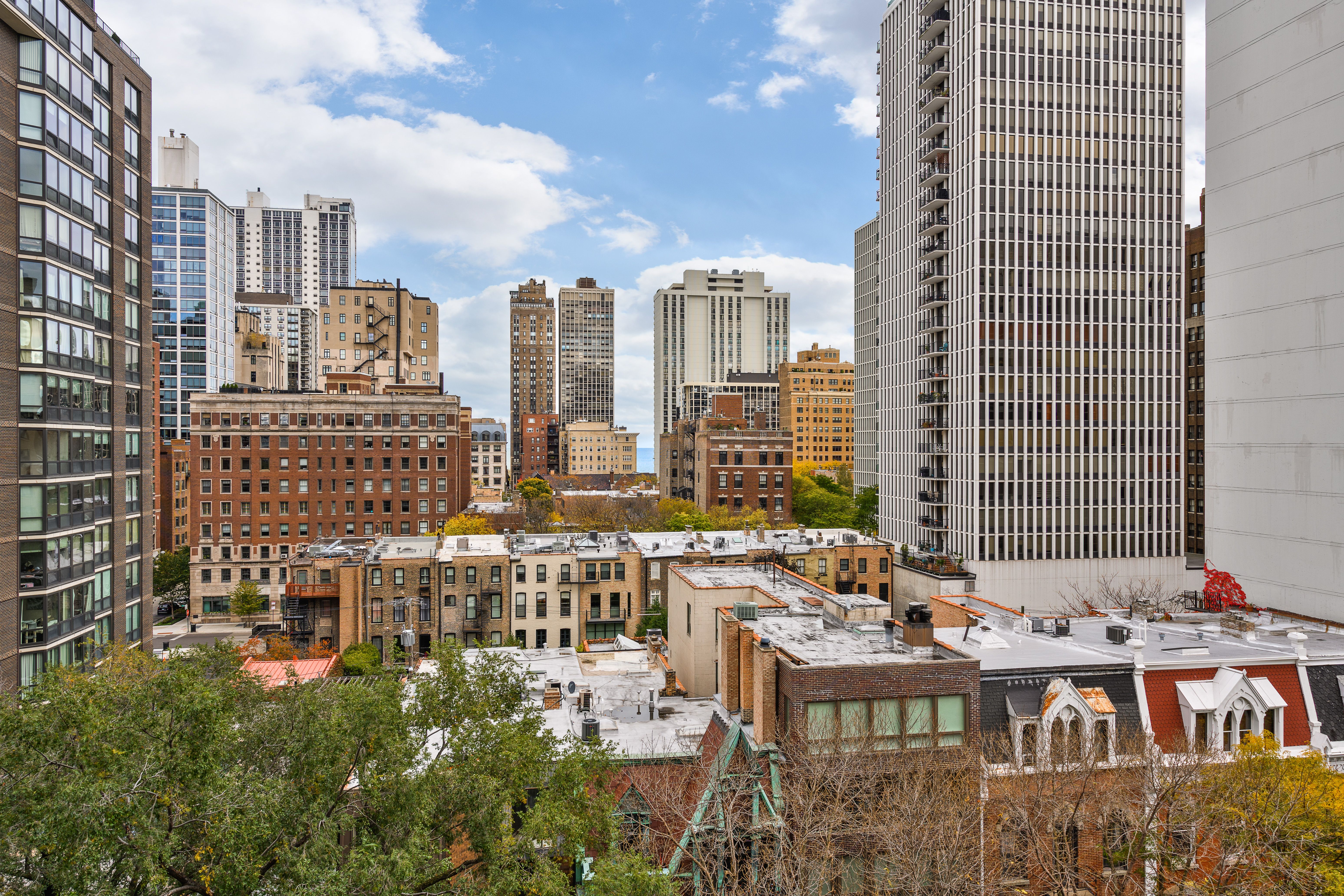 1250 N Dearborn Street Unit 8A