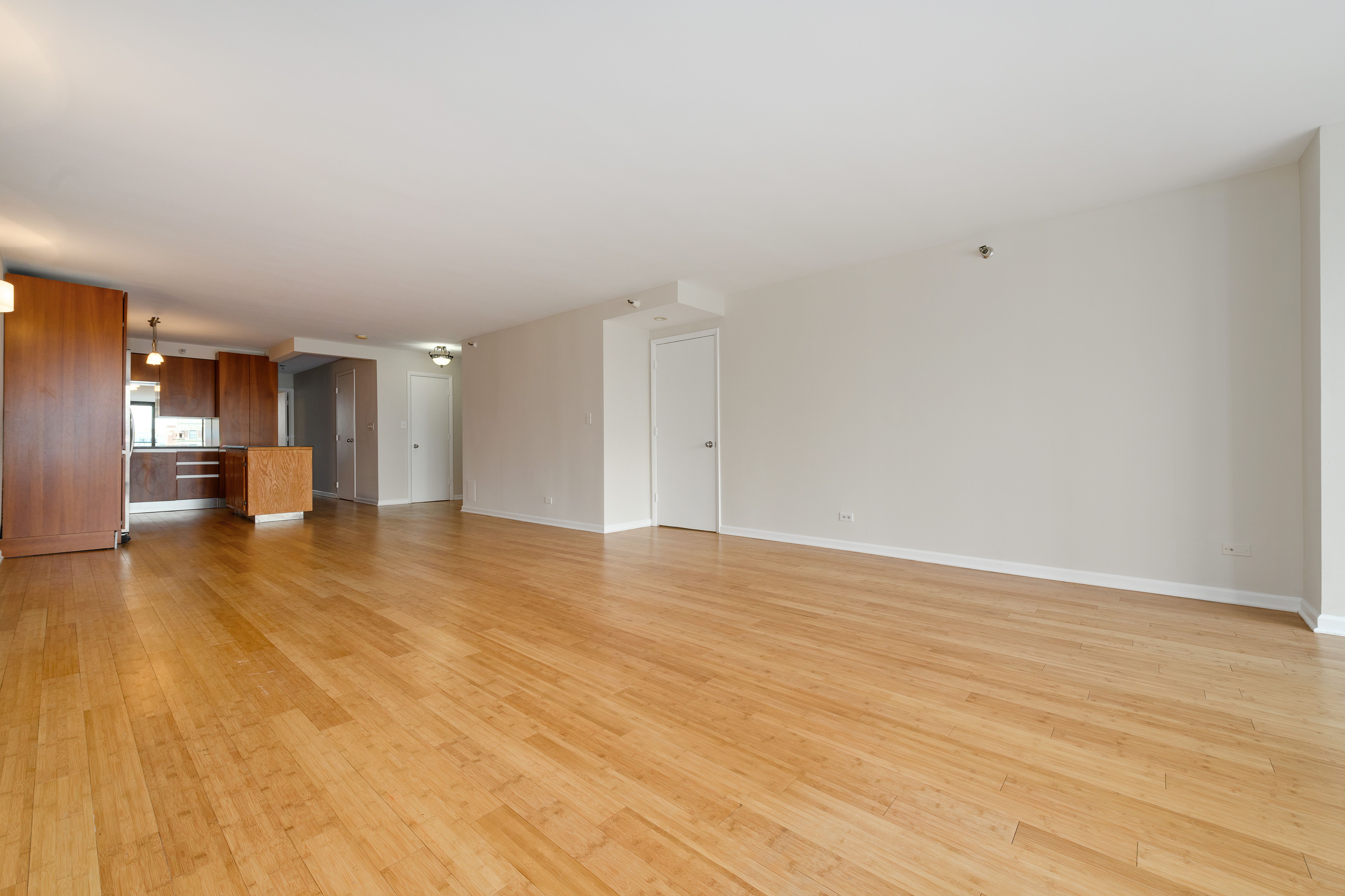 1250 N Dearborn Street Unit 8A